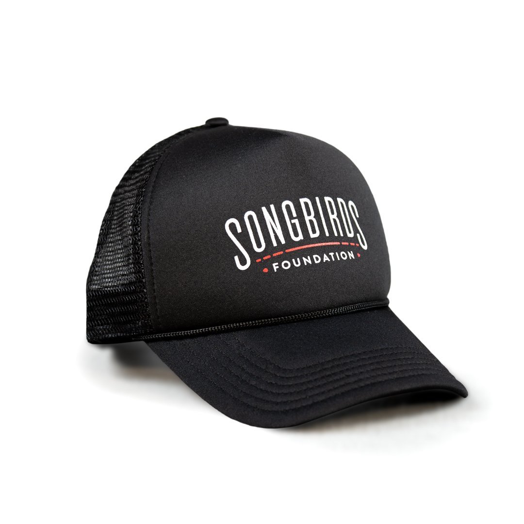 Songbirds Hat