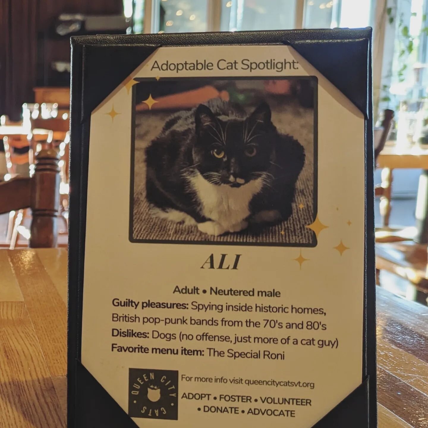 When the table tents at your favorite restaurant aren't being used and you need more eyes on the sweetest foster cats in the Northeast, this is what happens. Thank you, La Boca Wood Fired Pizzeria! Y'all have been nothing but supportive since day one