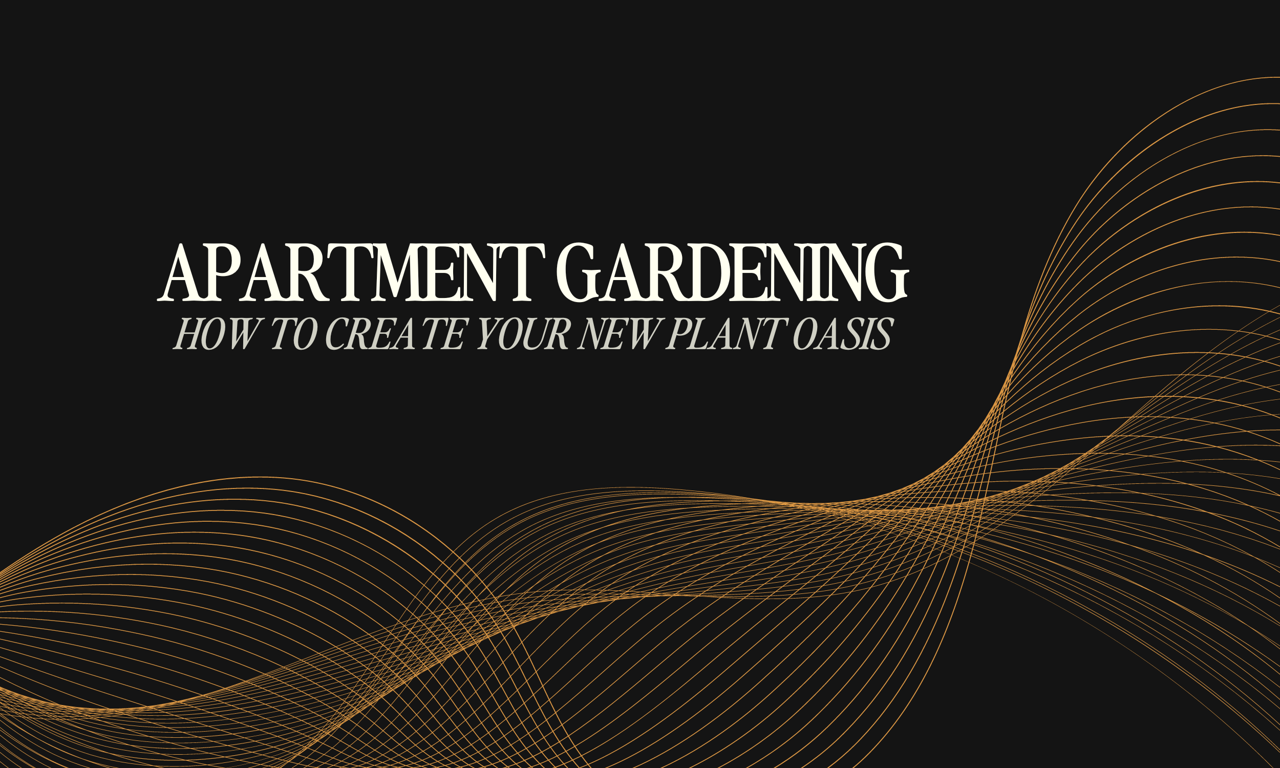 Container Gardening Made Easy: Transforming Your Space into a Green Oasis