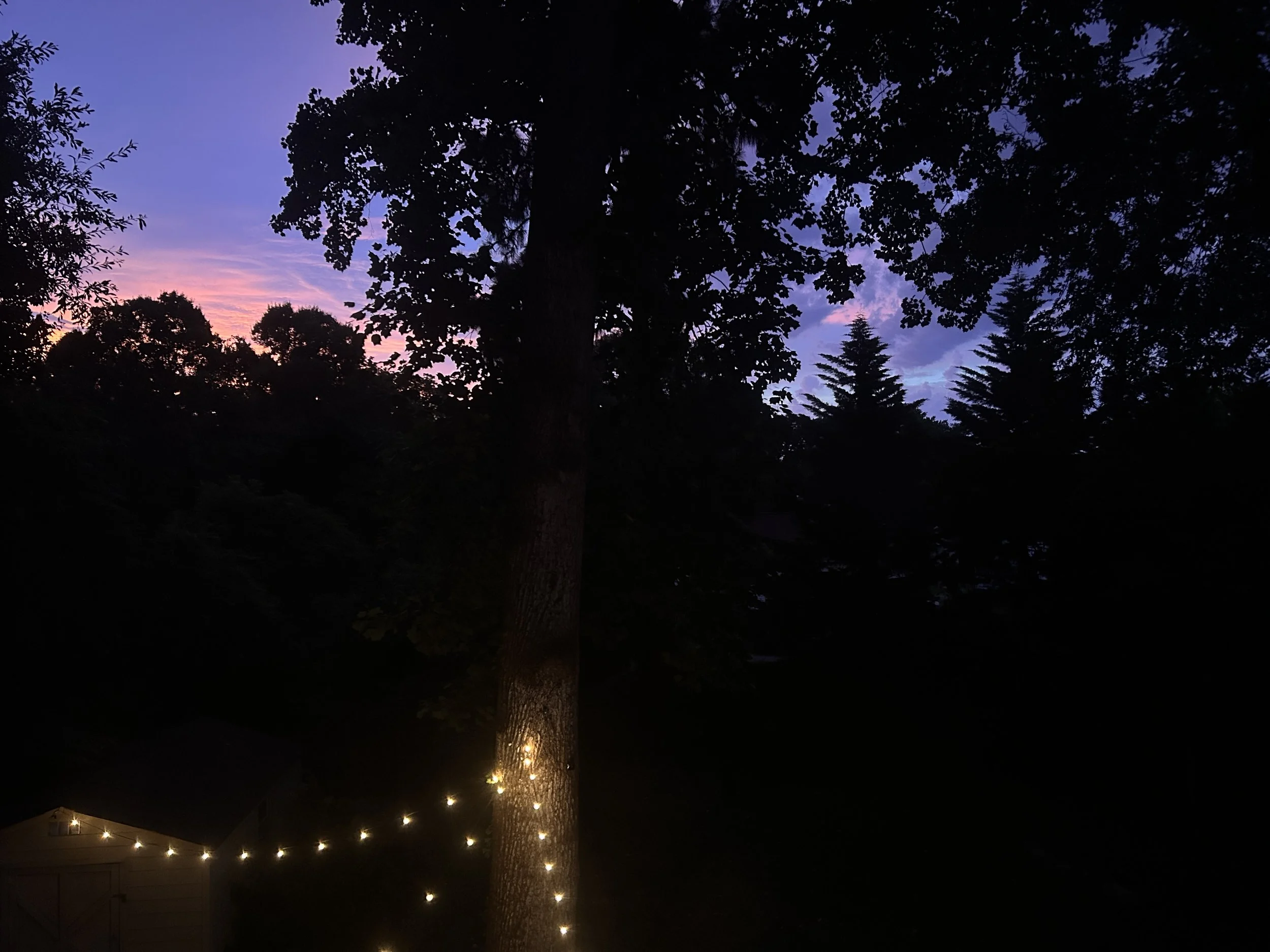The Warmth of Beginning Again Meets a Summer of Surrender