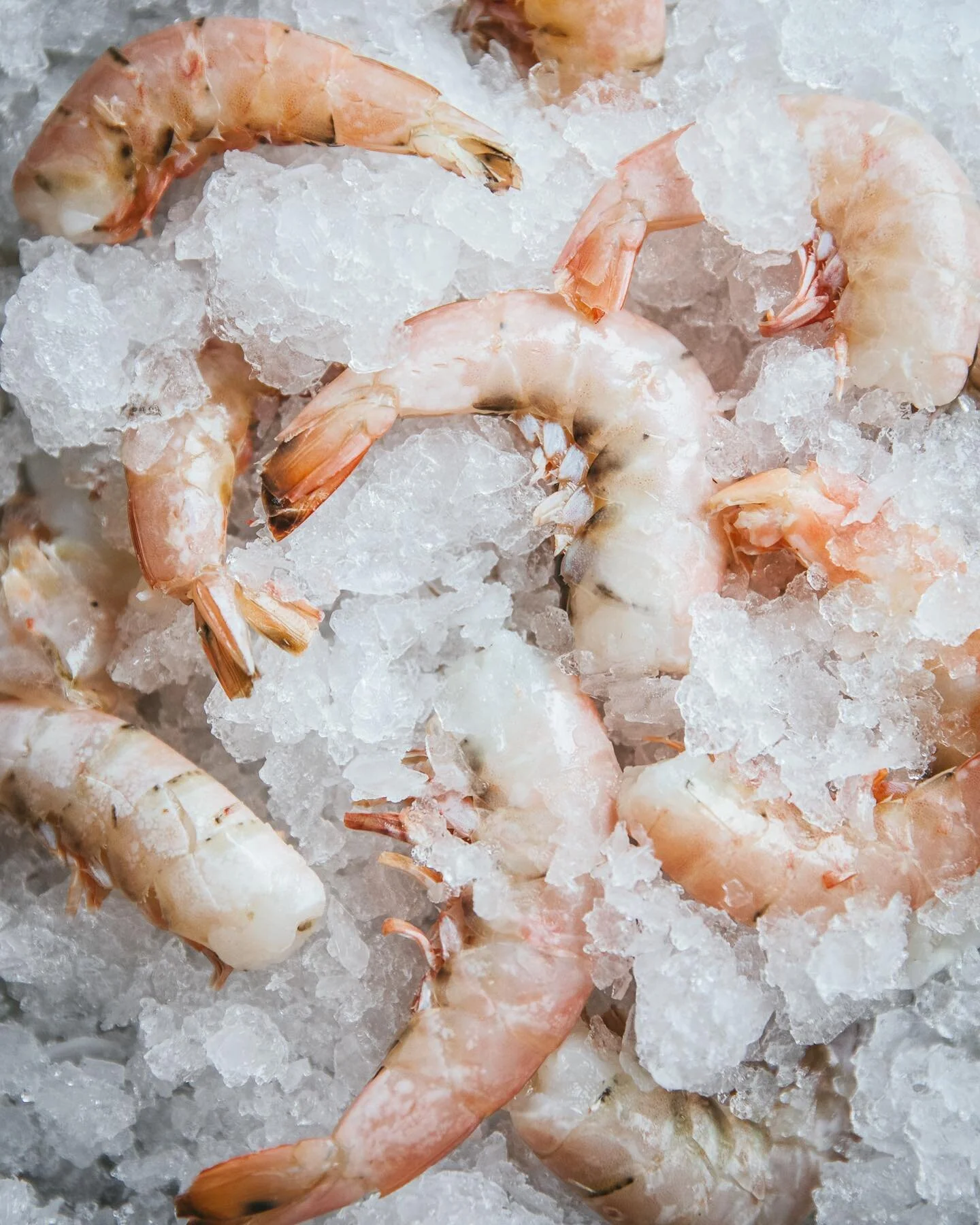 Shrimpin ain&rsquo;t easy 🦐