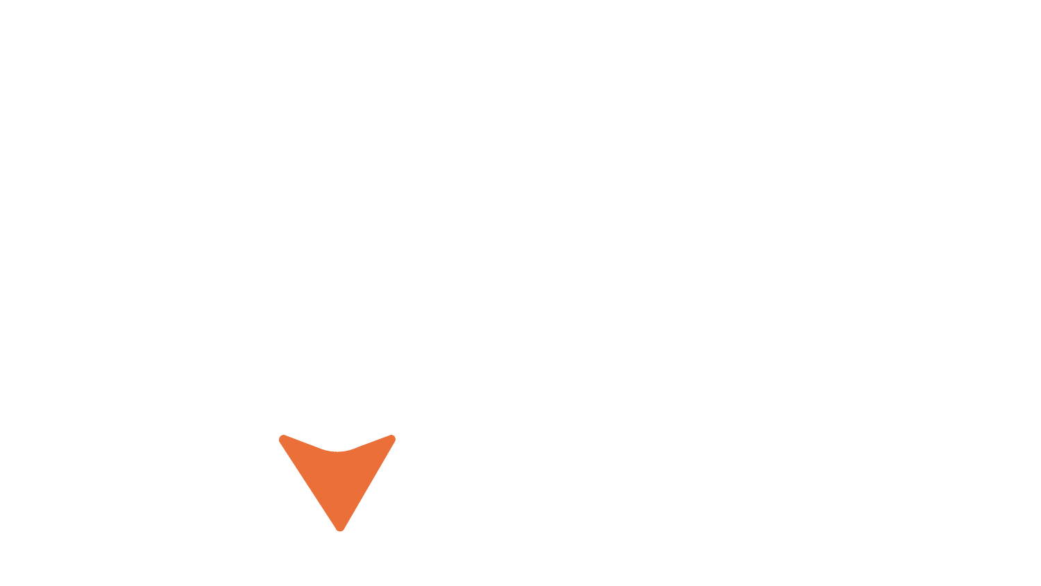 Wild Photo Adventure