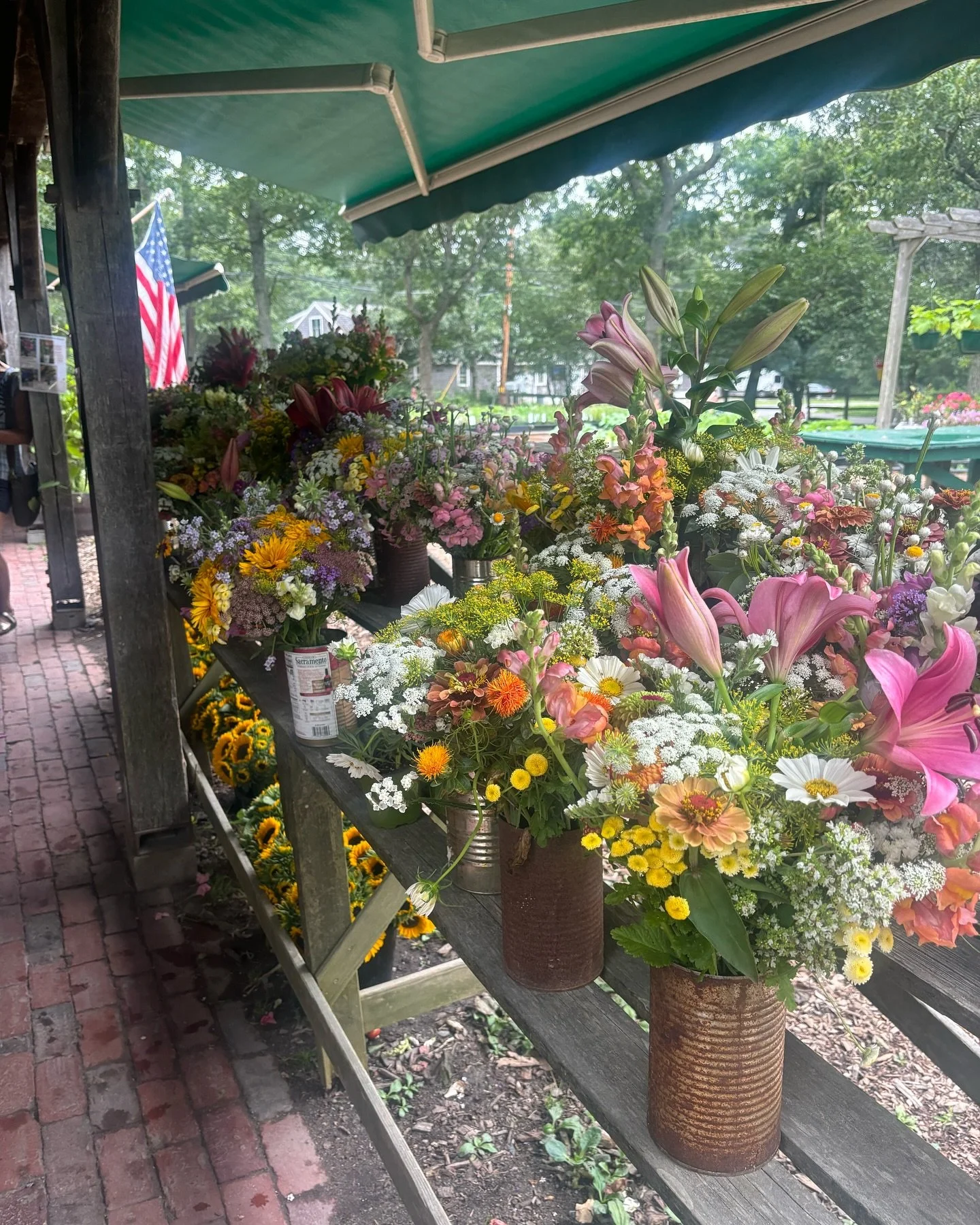 Yoga Class Schedule Synergy Yoga & Wellness in Barrington, RI