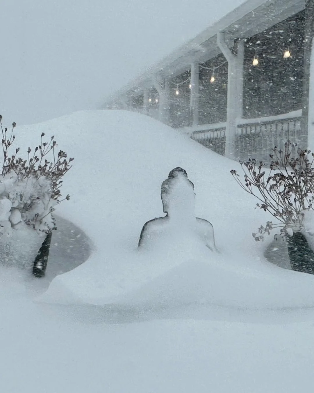 Mother Nature sure knows how to mess up  a yoga practice! Hope you are all safe and warm❤️