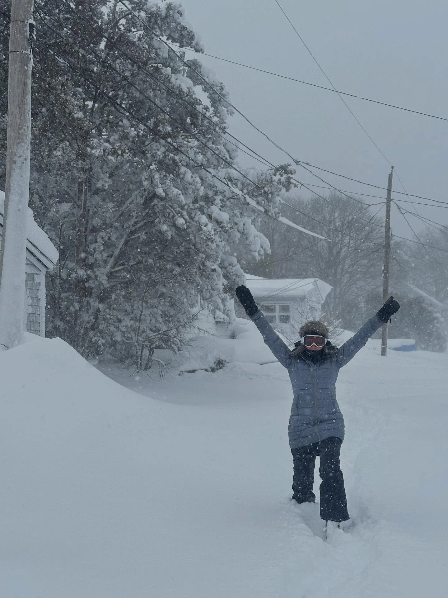 HAPPY SNOW DAY ! ❄️