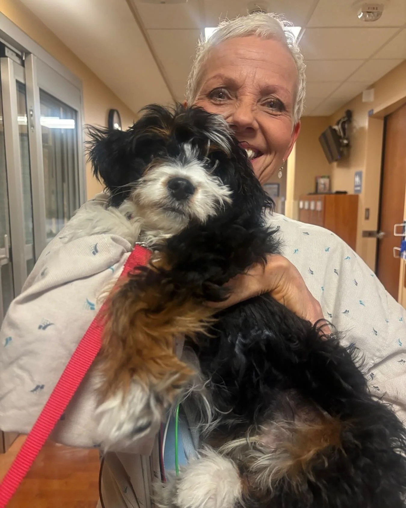 I forgot to mention that while I was in the middle of Tessas graduation festivities, I&rsquo;ve been in and out of the ER. I&rsquo;m currently at Miriam and kiddingly have been asking for a puppy when people have asked what they can bring me. So this