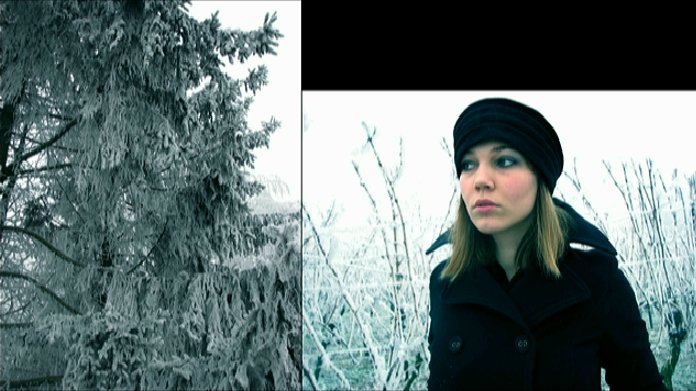 Muted color photograph of frozen plants, symbolic and quiet environmental detail