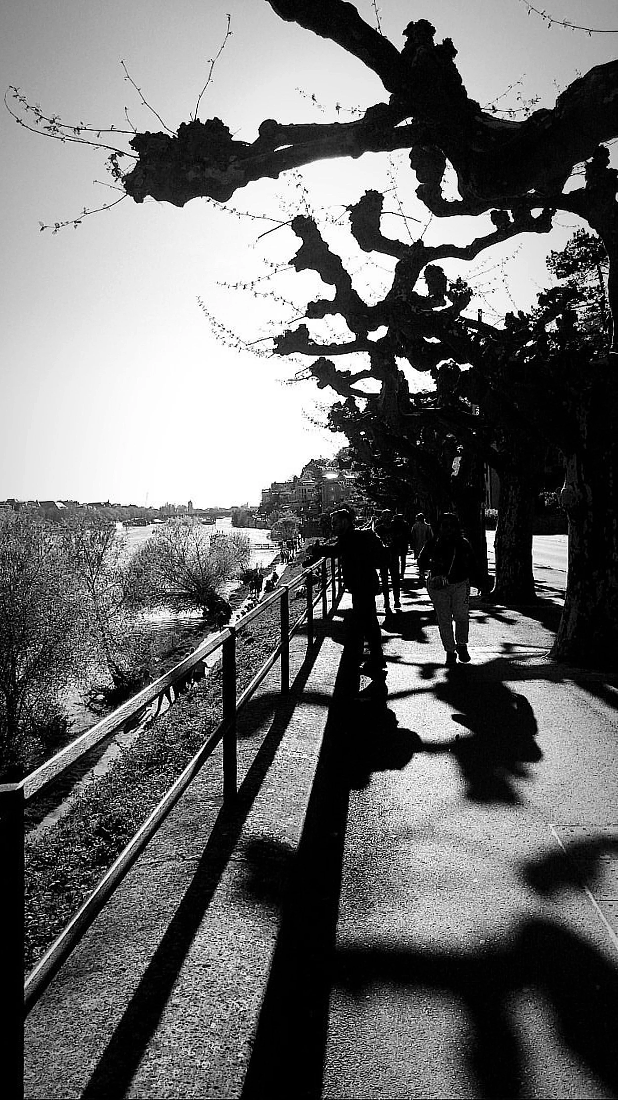 _160422_05.jpg