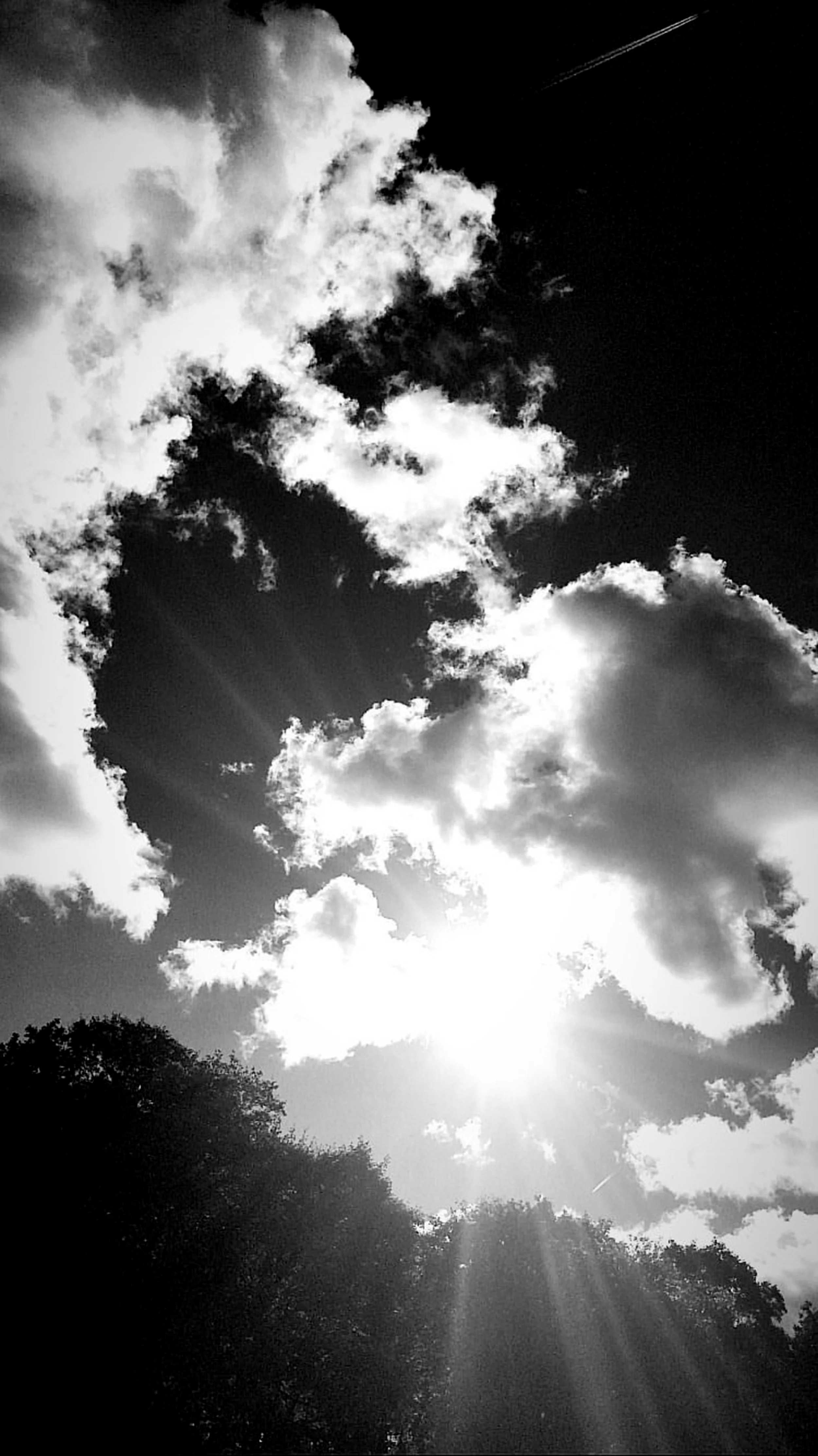 _221022_02.jpg