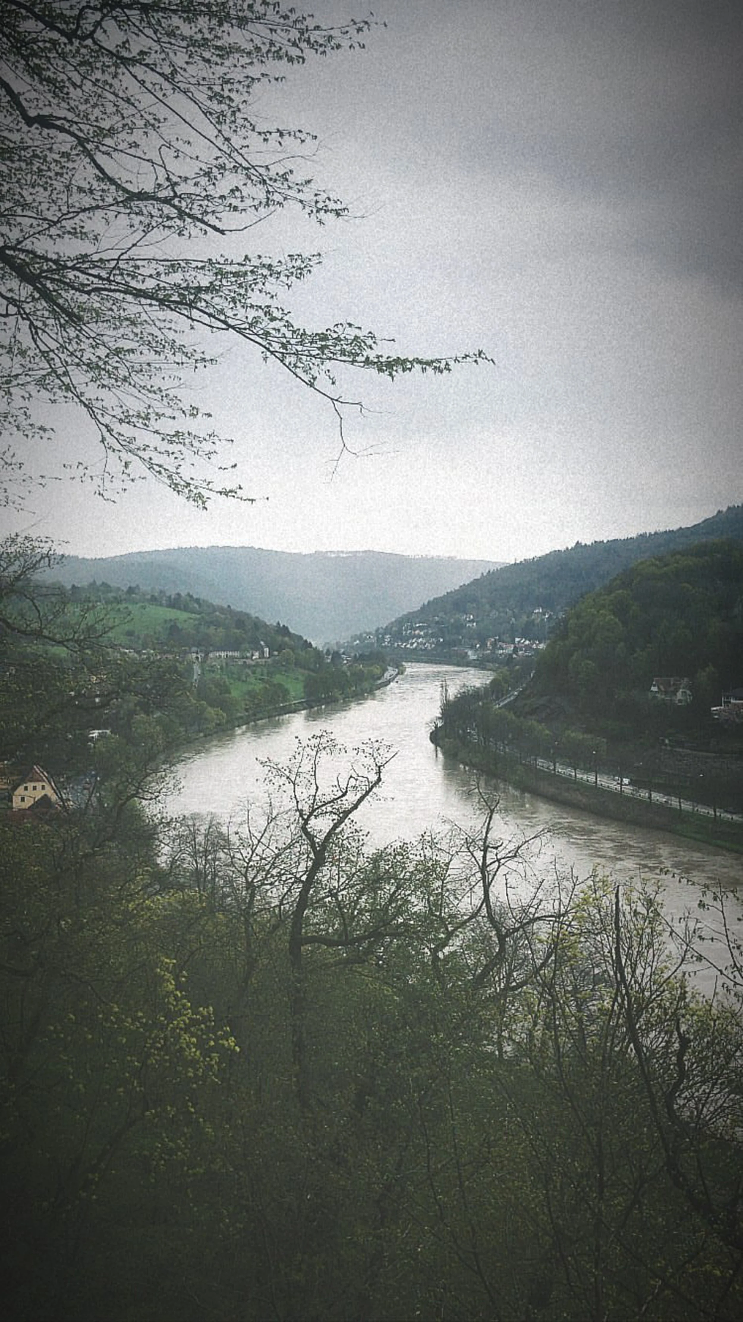 100422_04.jpg