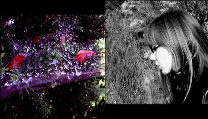 collage of surreal colored image of raindrops in a spider web and a motion blurred self-portrait of a woman walking through a forest