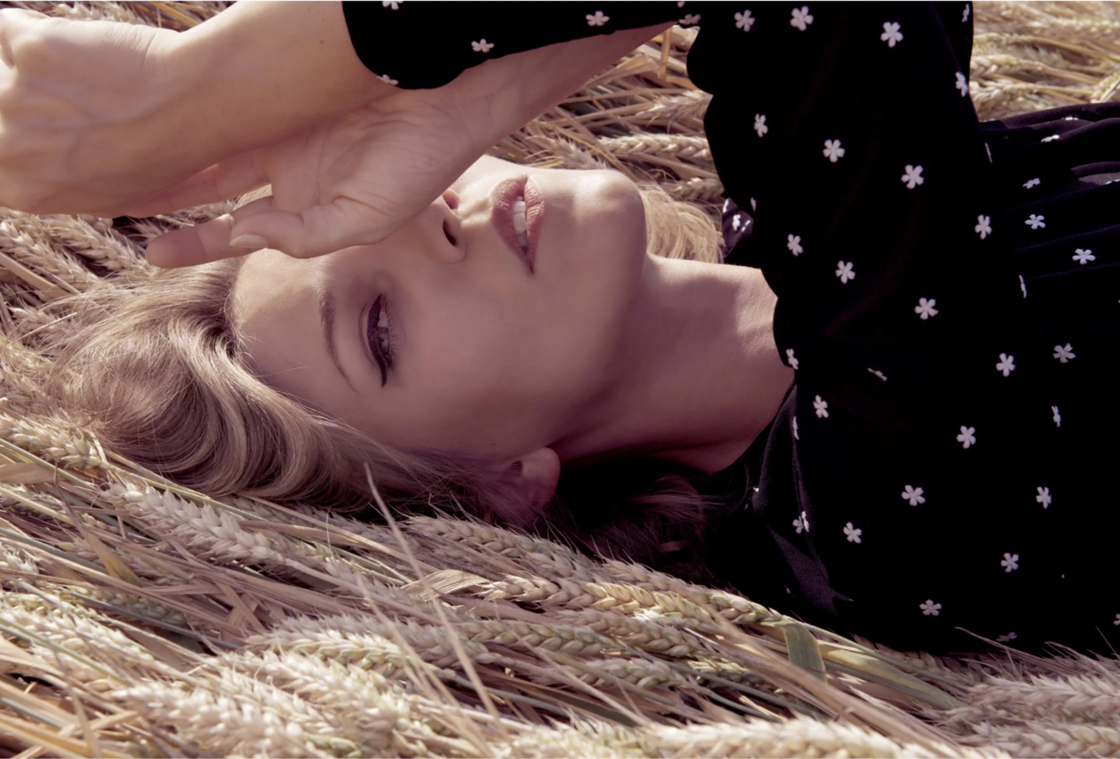 Close-up portrait of Lou Vicious lying in a wheat field, photographed during a collaborative photoshoot