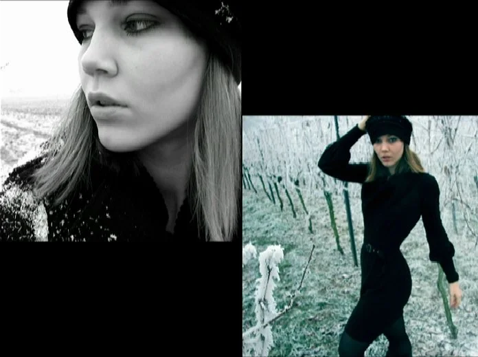 Muted color photograph of frozen plants, symbolic and quiet environmental detail