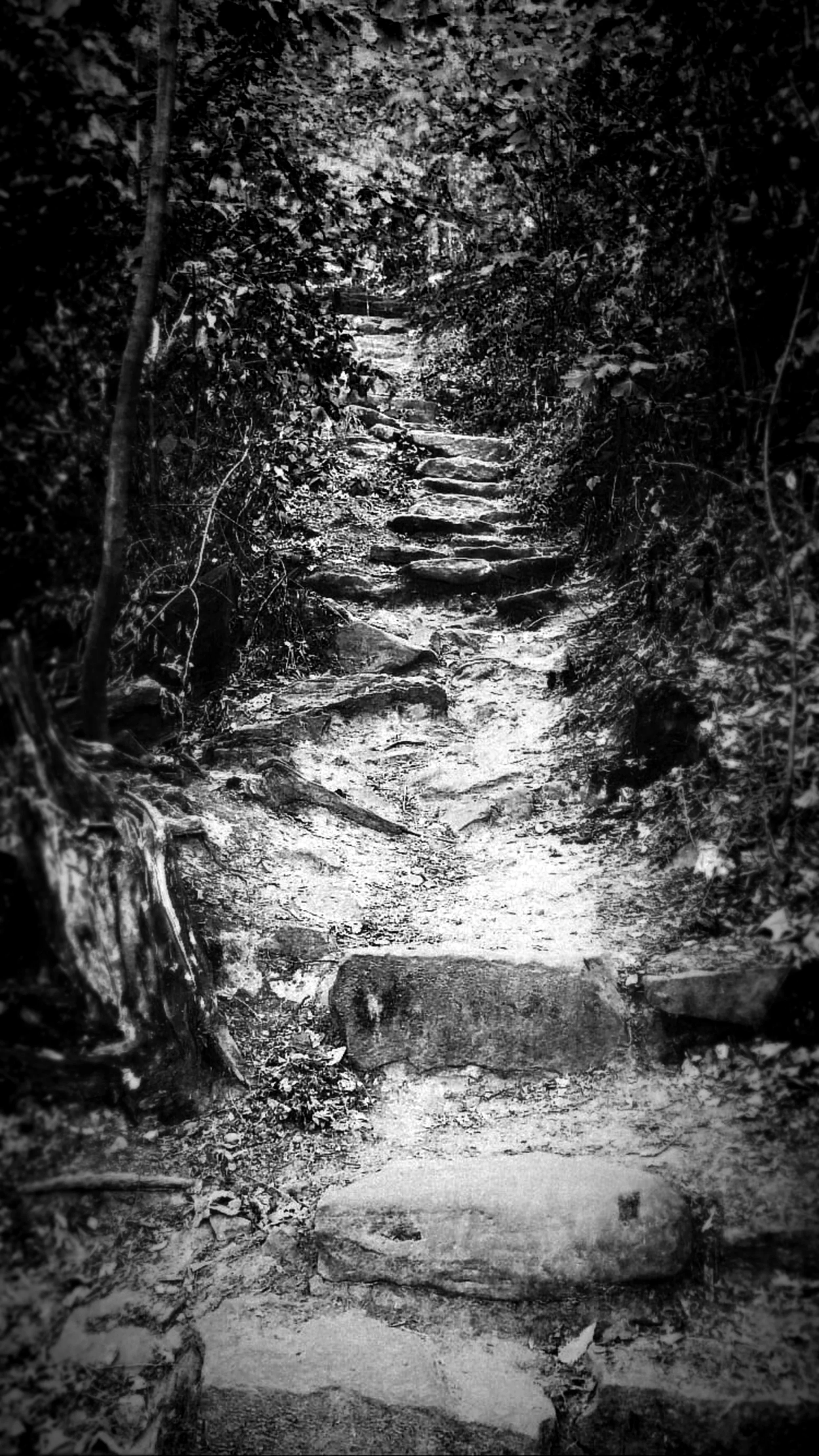 070822_01.jpg