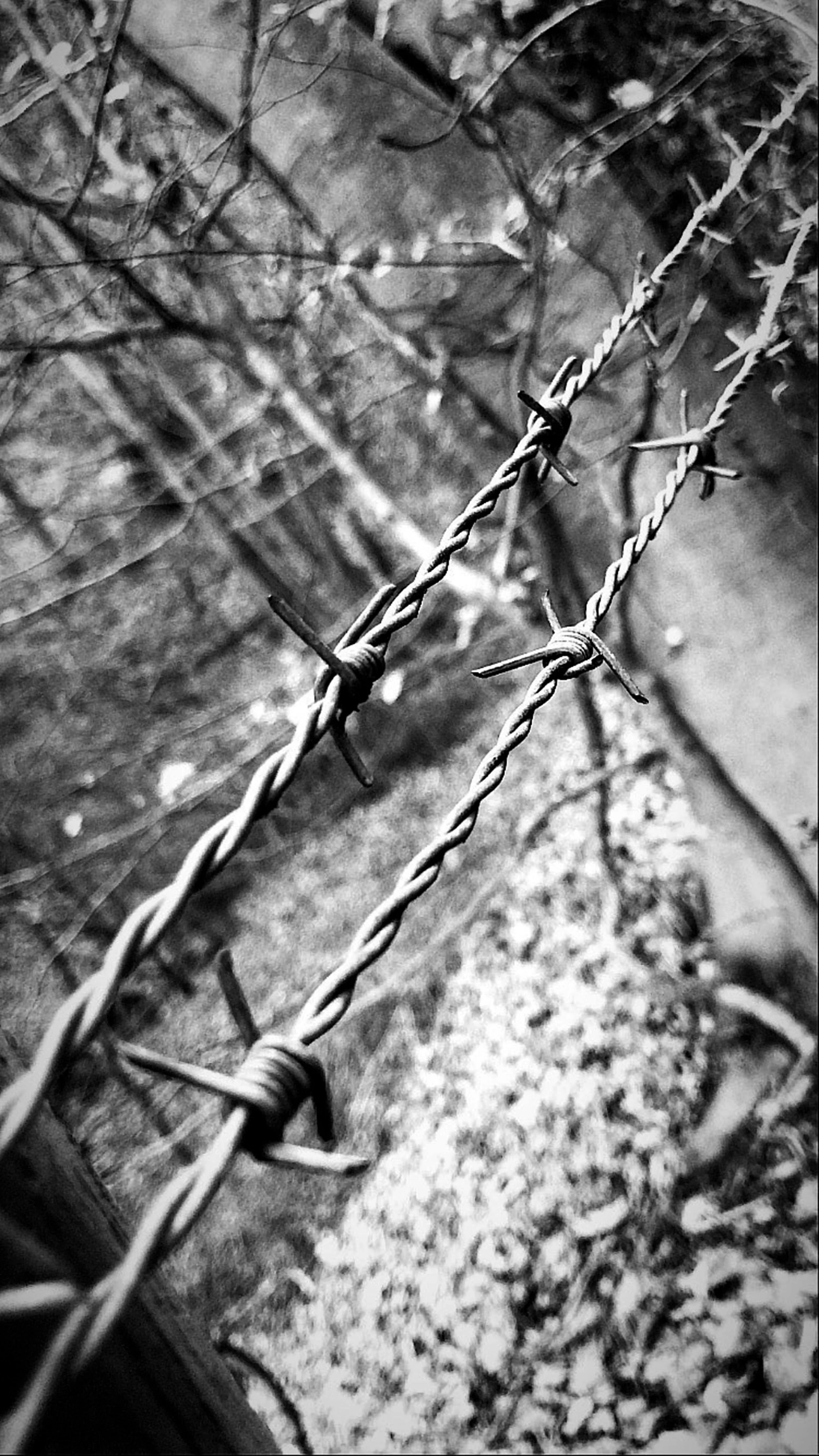 090122_06.jpg