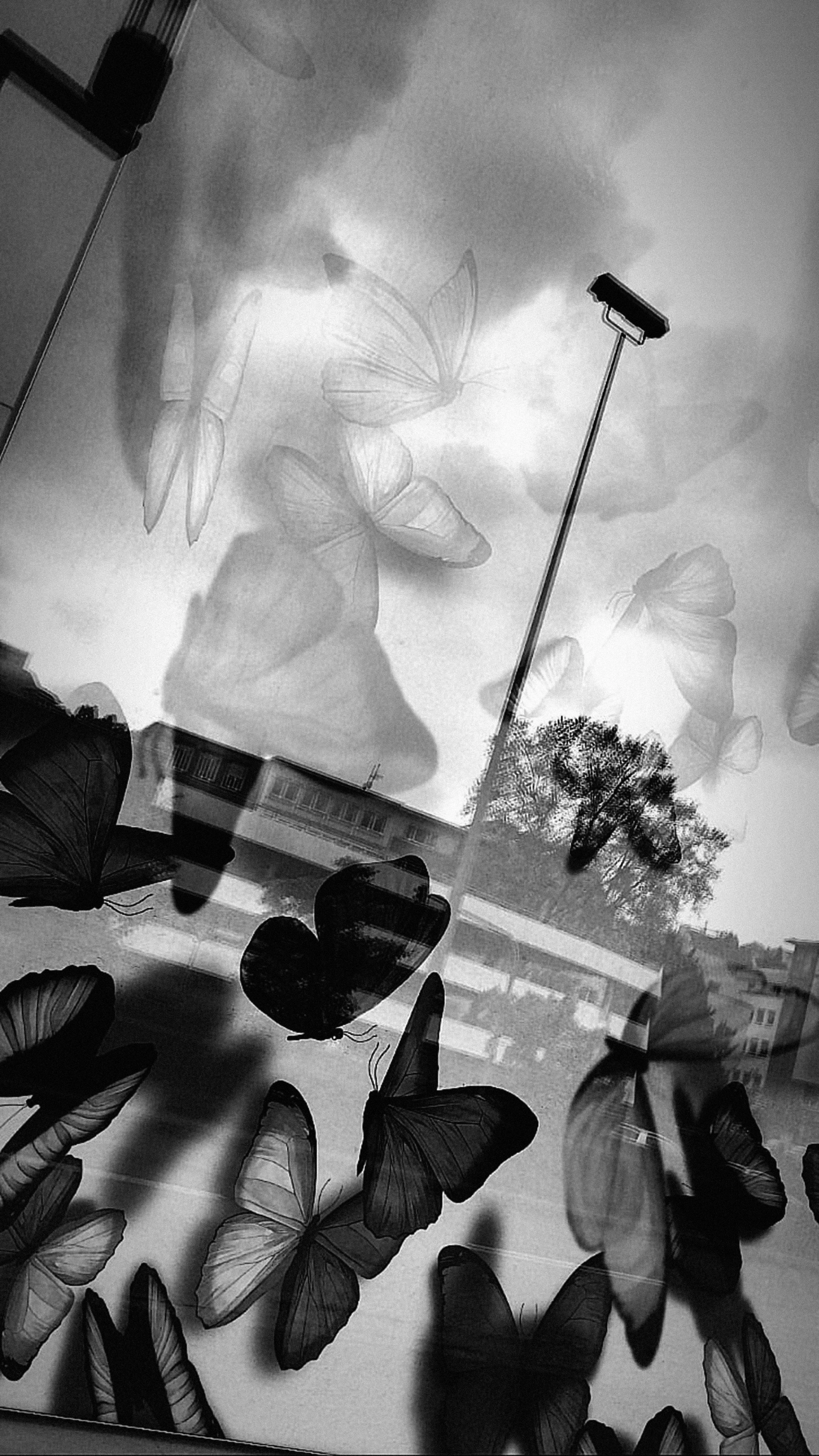 _010522_07.jpg