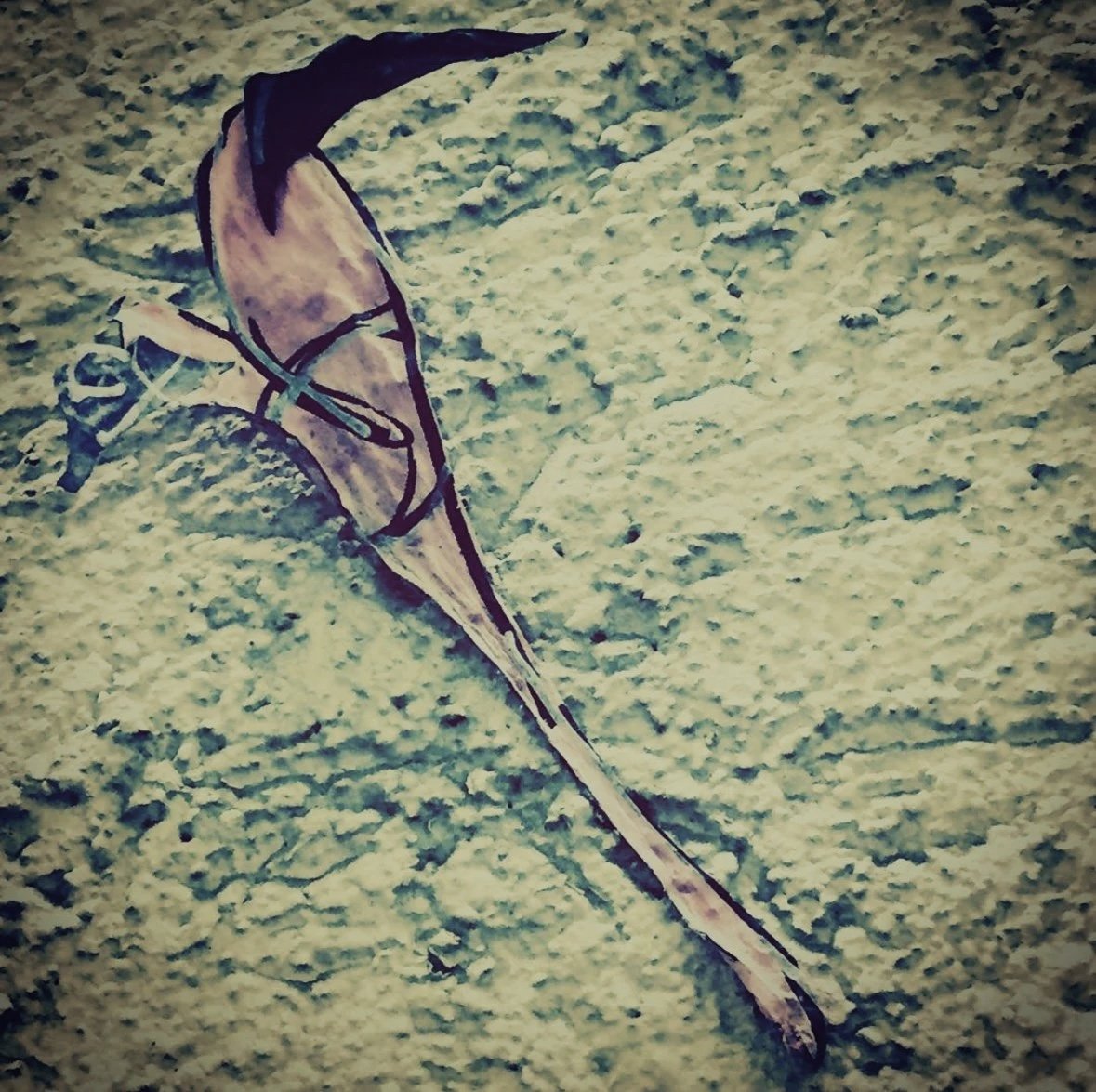 Close-up street photograph of a 10 year old paper heart on a rough wall.