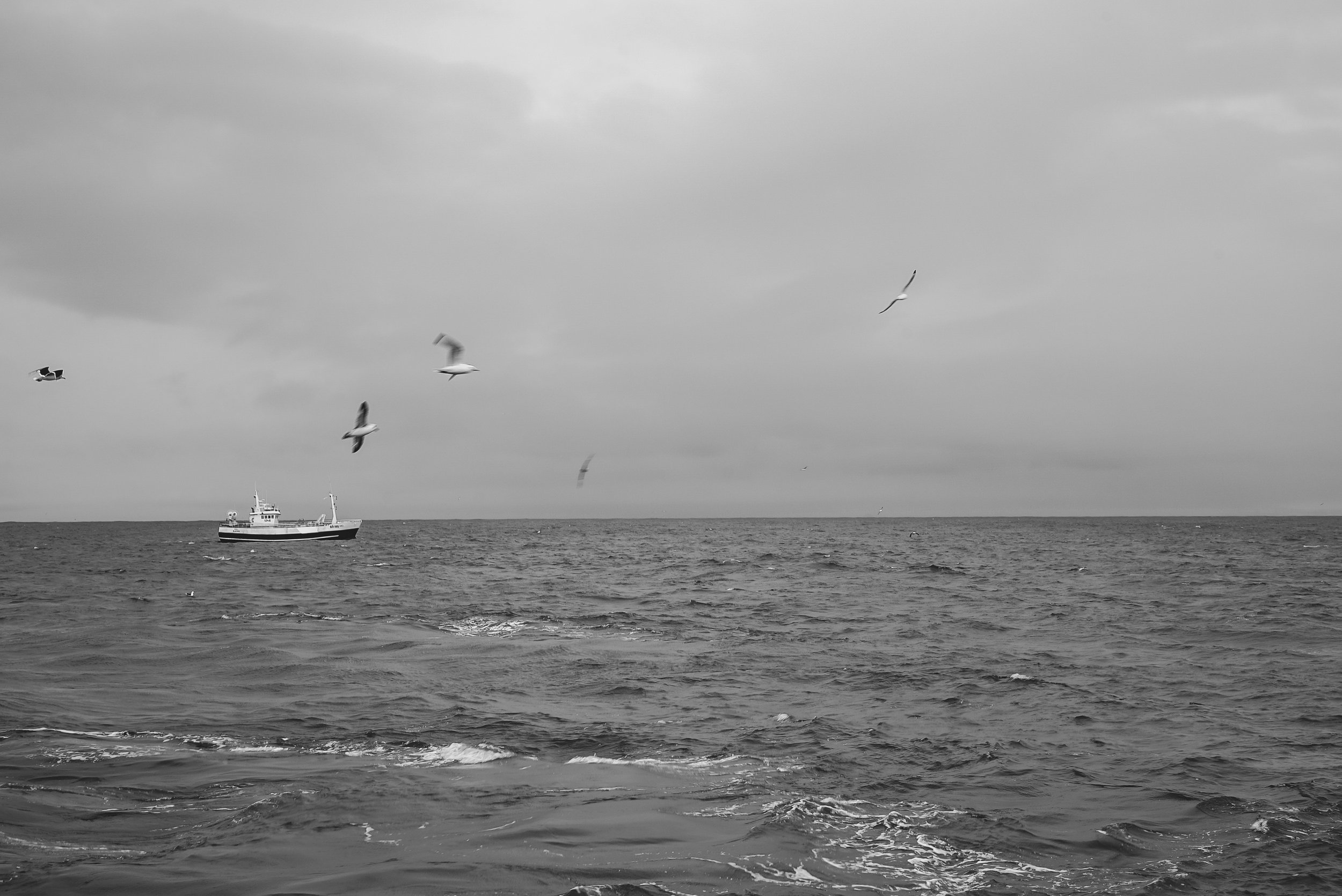 stories-across-the-north-atlantic-24.jpg