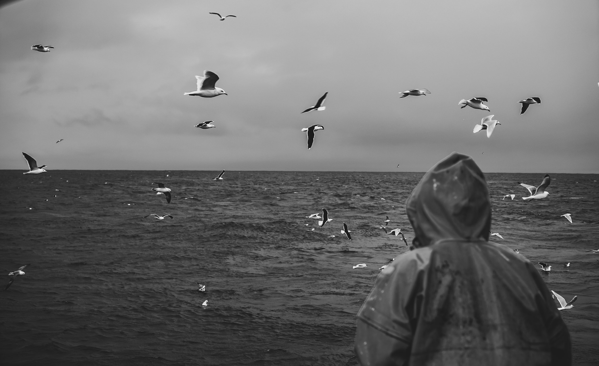 stories-across-the-north-atlantic-26.jpg