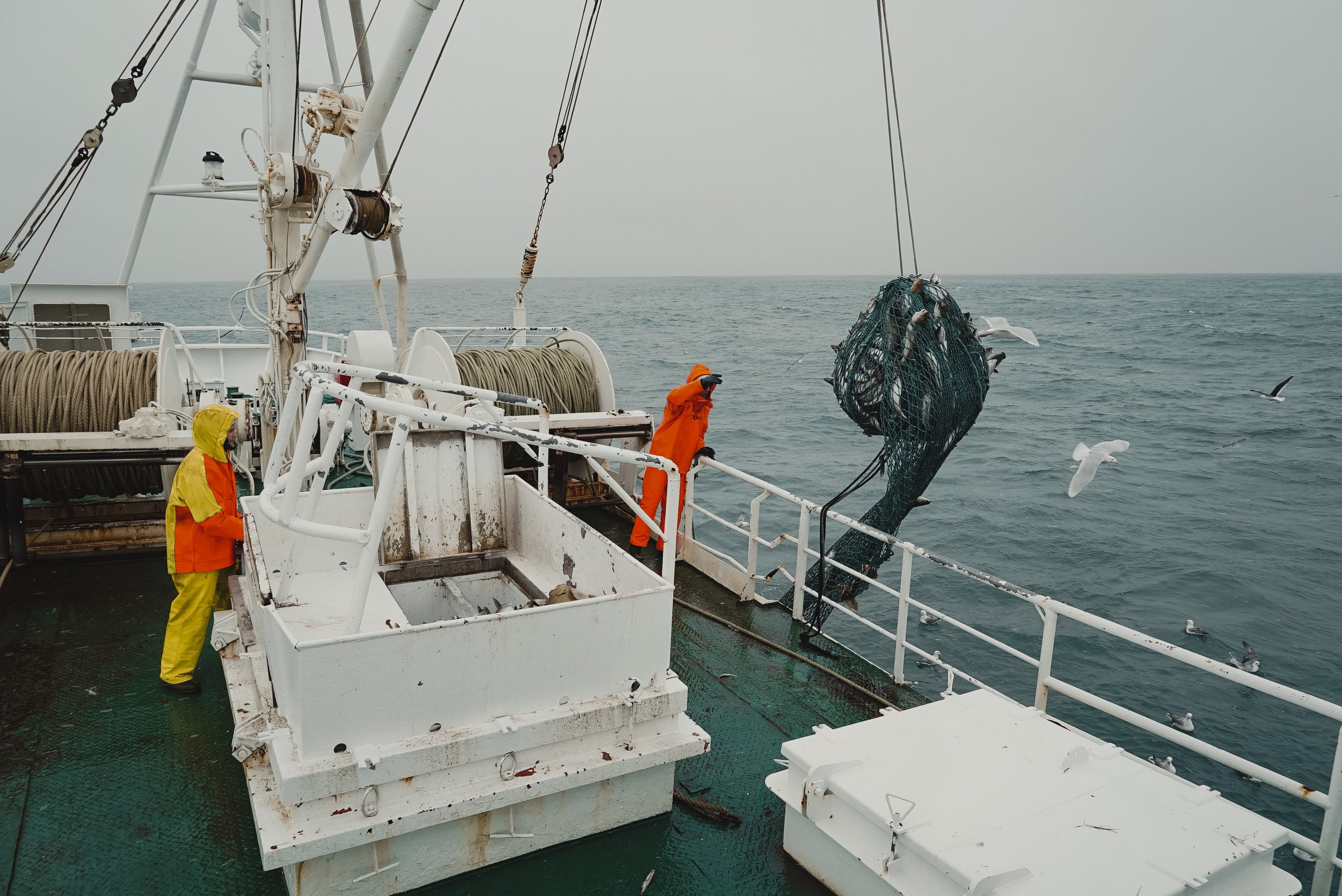 stories-across-the-north-atlantic-33.jpg