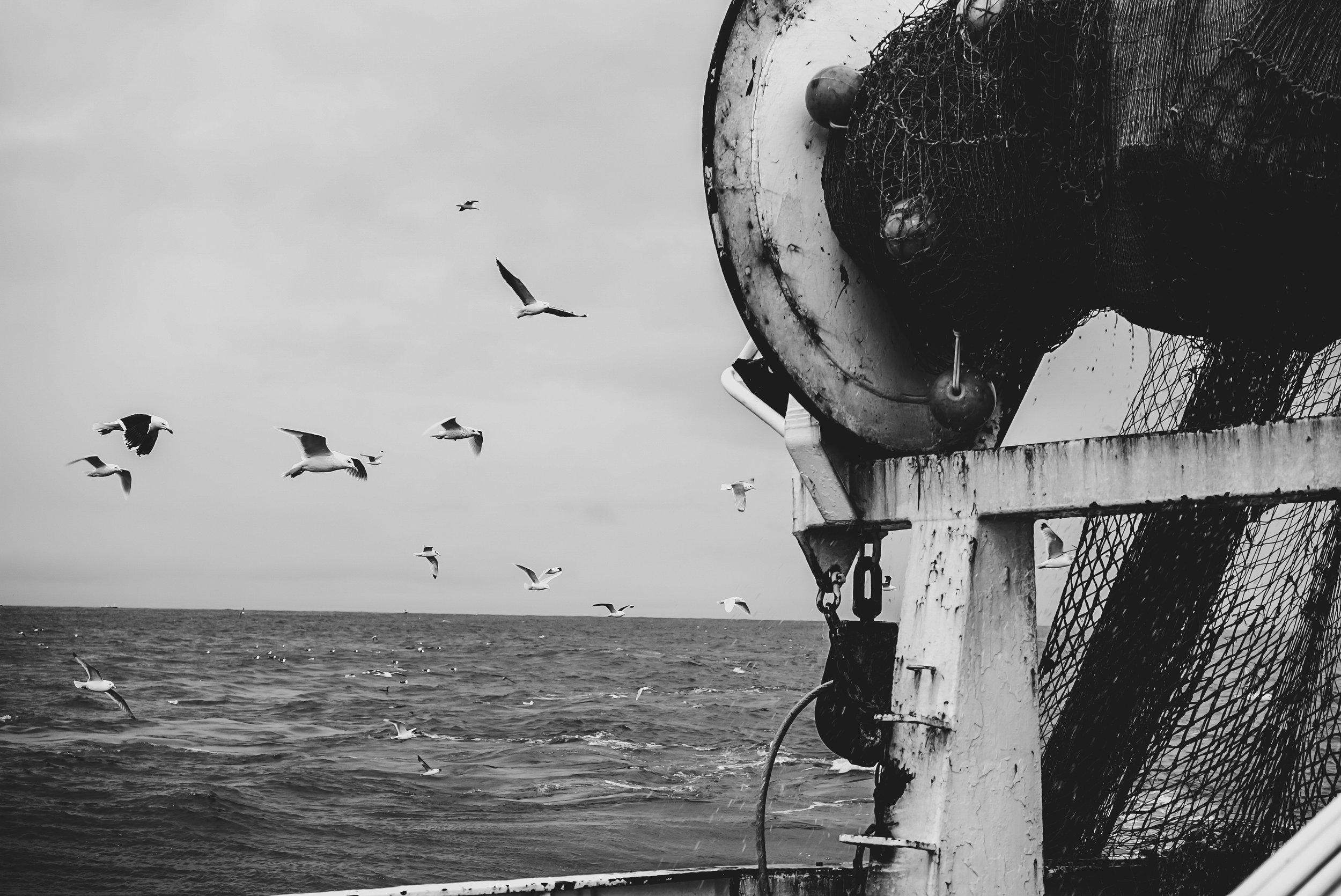 stories-across-the-north-atlantic-25.jpg