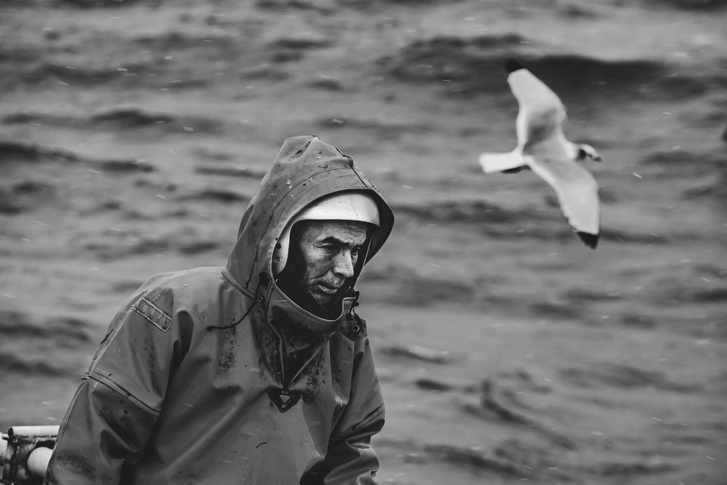 stories-across-the-north-atlantic-35.jpg