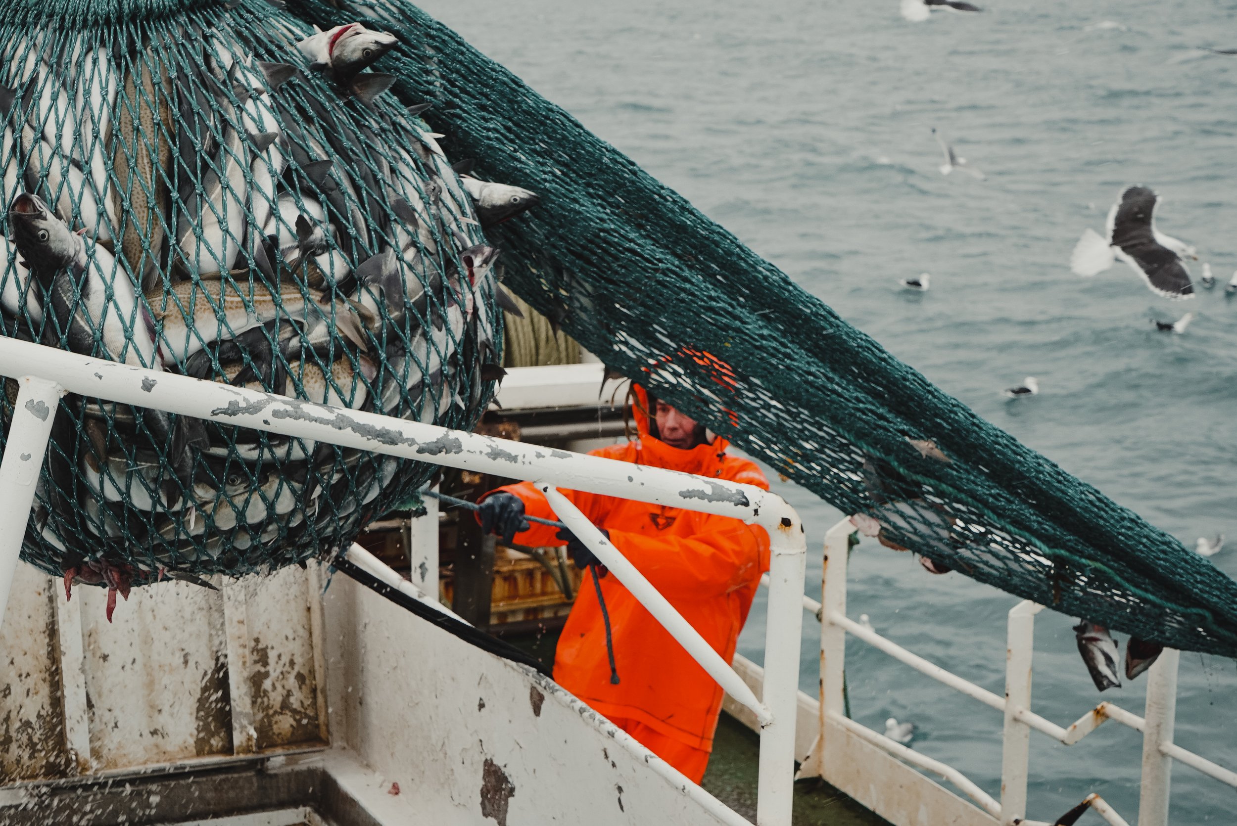 stories-across-the-north-atlantic-34.jpg