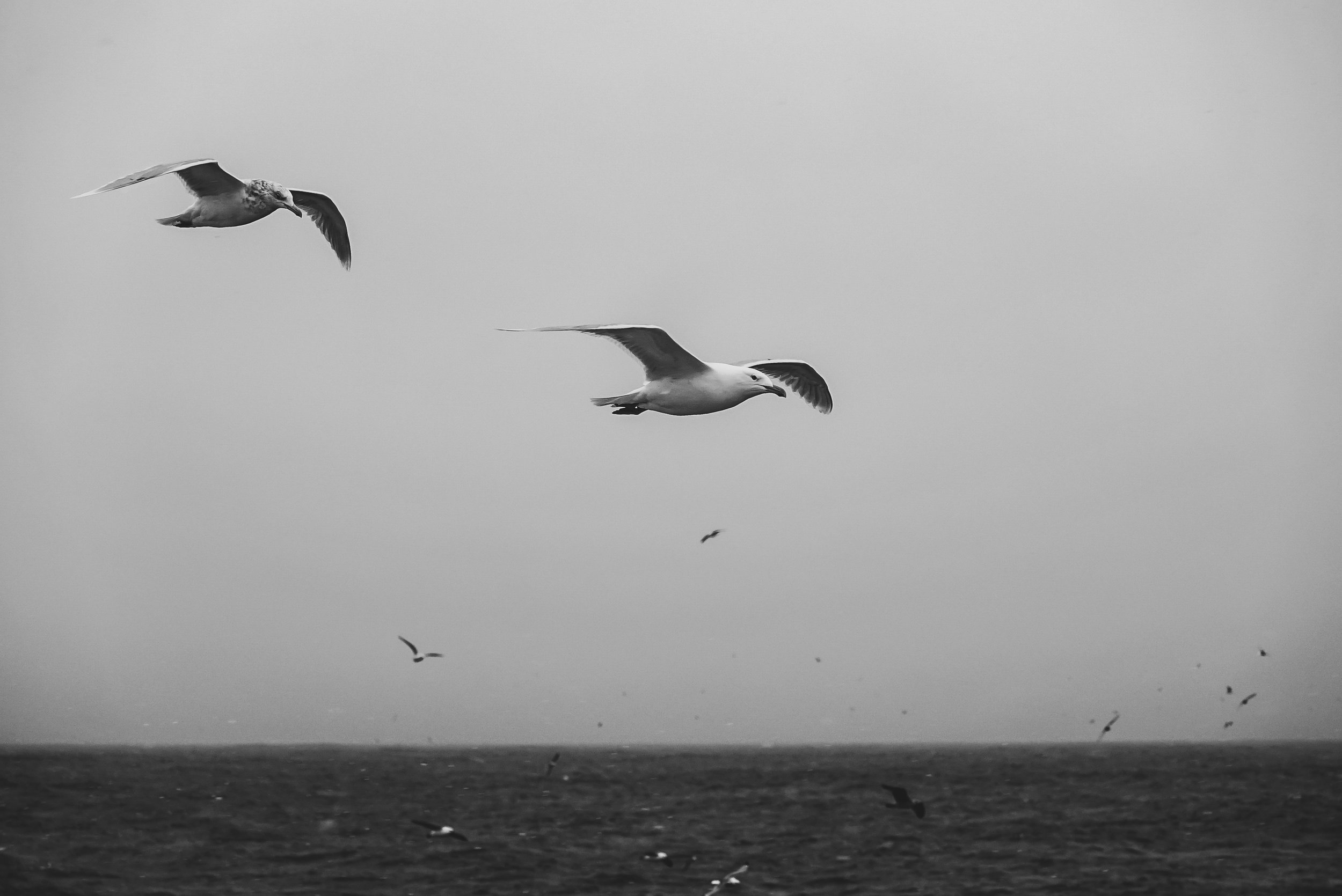 stories-across-the-north-atlantic-36.jpg