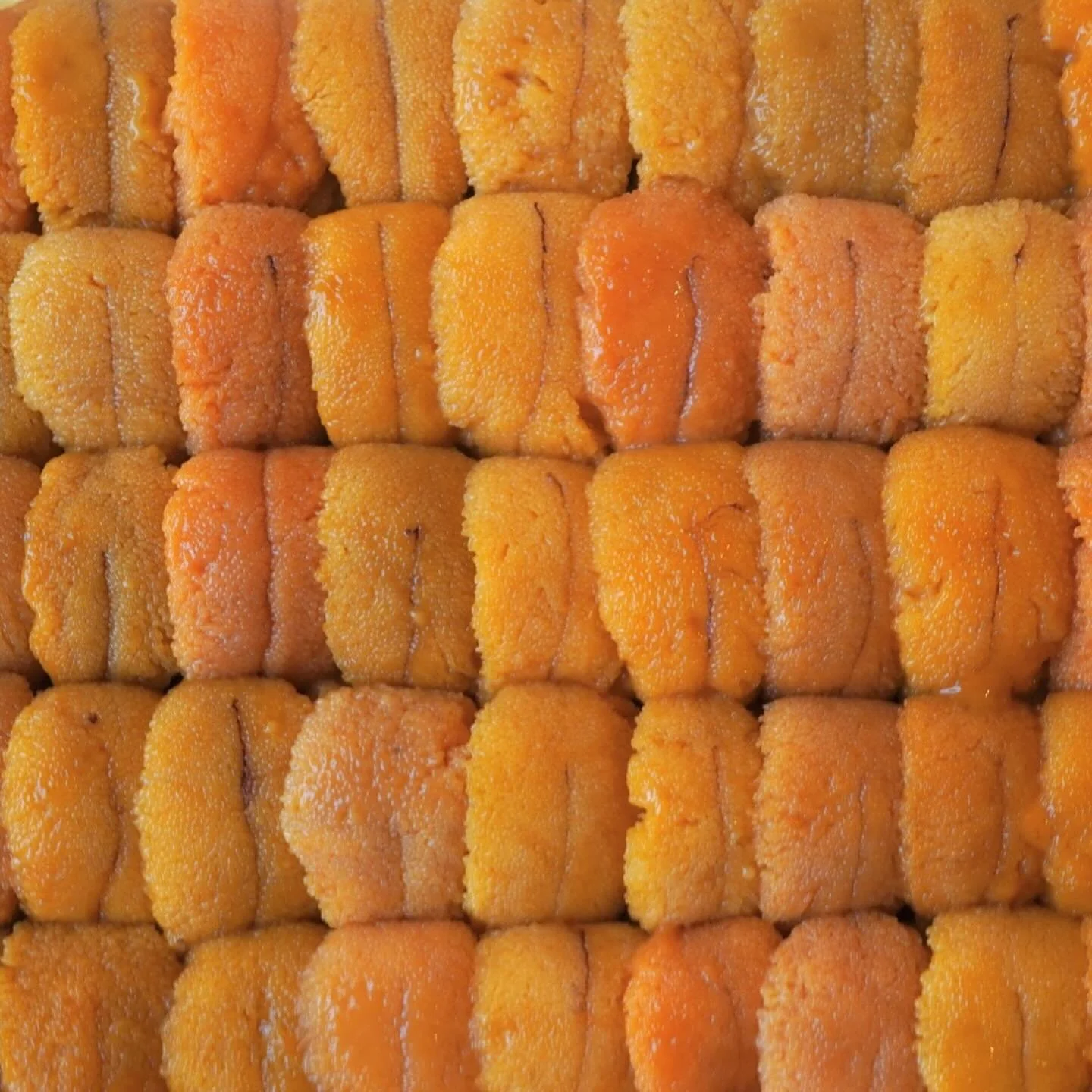 Any uni lovers out here? ☺️ we have over 6 different types of uni available this week! One of which is a top ranking auction-grade uni by Hirakawa from Hokkaido, Japan. 

Uni is 15% off in A la Carte menu for tonight and tomorrow 💕 enjoy! 

#dcsushi