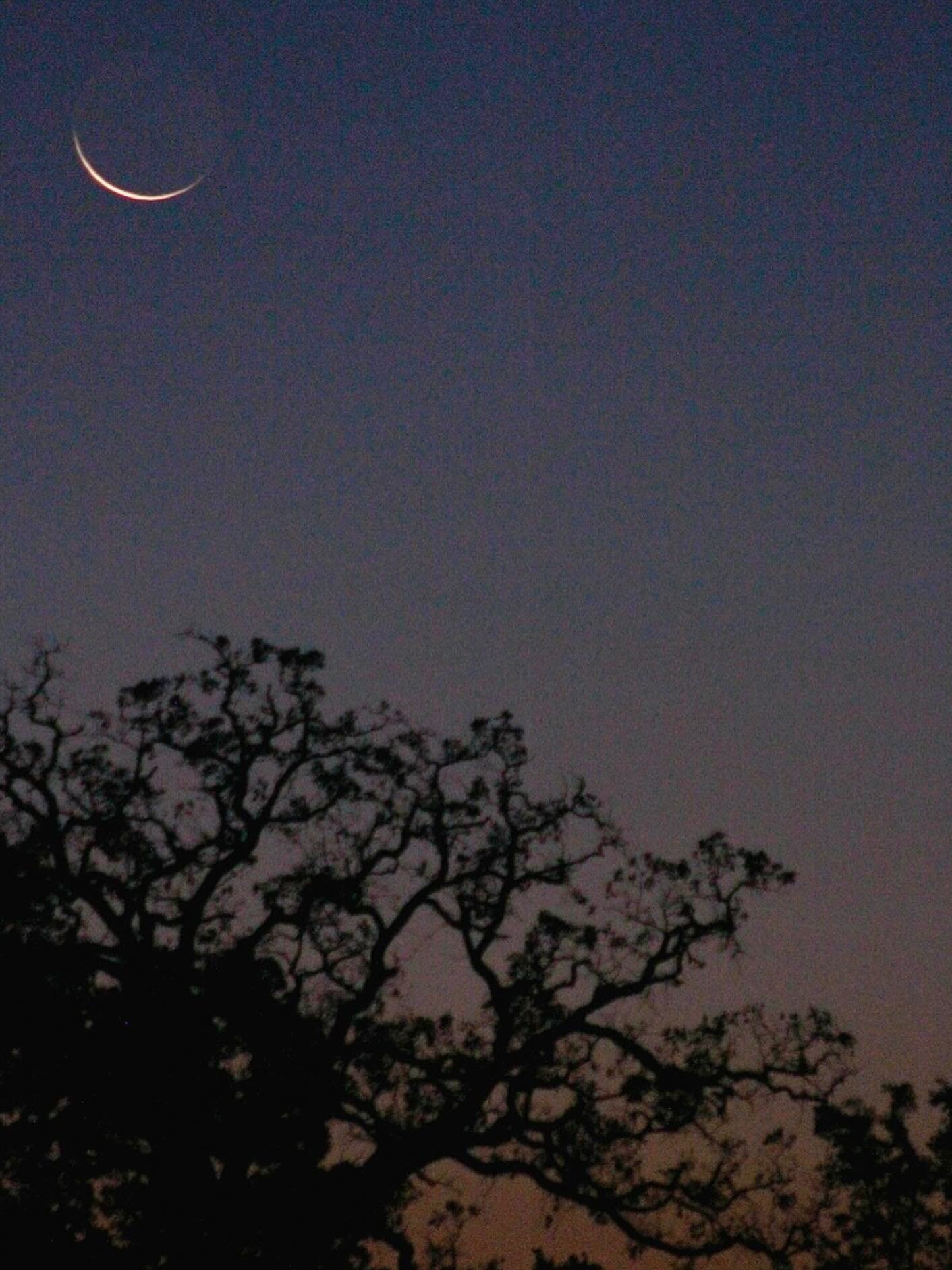 I think about midsummer, the longest day of the year, when we have the most light, and I consider that this is the moment we begin our turn inward. We&rsquo;re going from increasing light to decreasing light. And so, we&rsquo;ve passed the peak.

We&