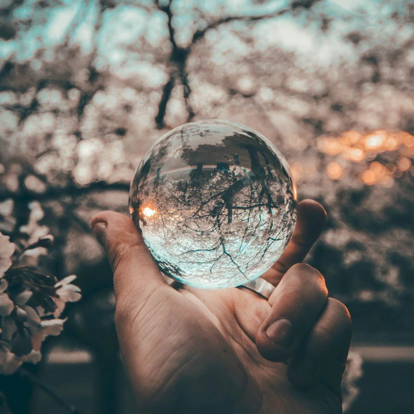 We are at a turning point, a moment where we can be of service if we let go of resistance to what is. Because when you're in it, you have to go through it to get to the other side.
#burningbright #smellsomethingreal #flwrnapavalley