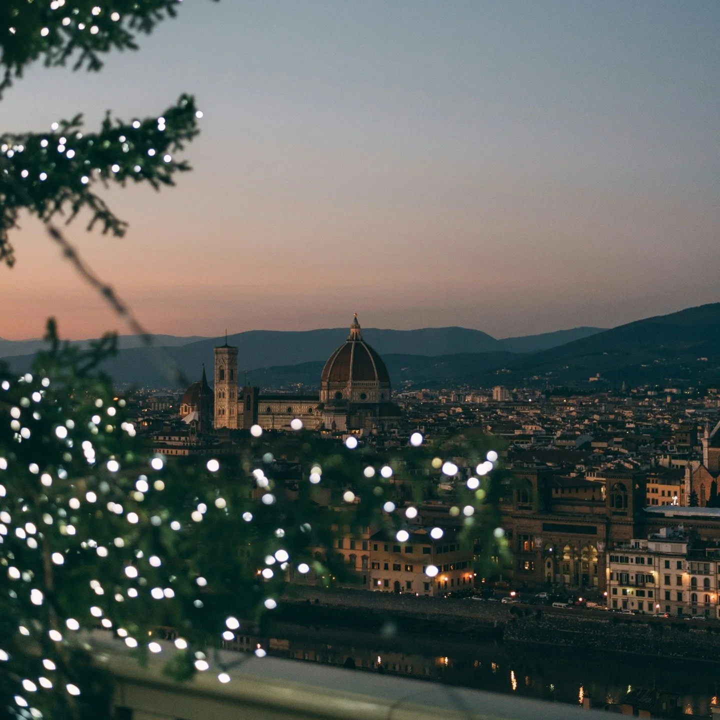 Even though the love may be fleeting, the experience is not; it fucking stops you in your tracks.
#romeperfume #handmadebotanicalscents #smellsomethingreal #flwrnapavalley