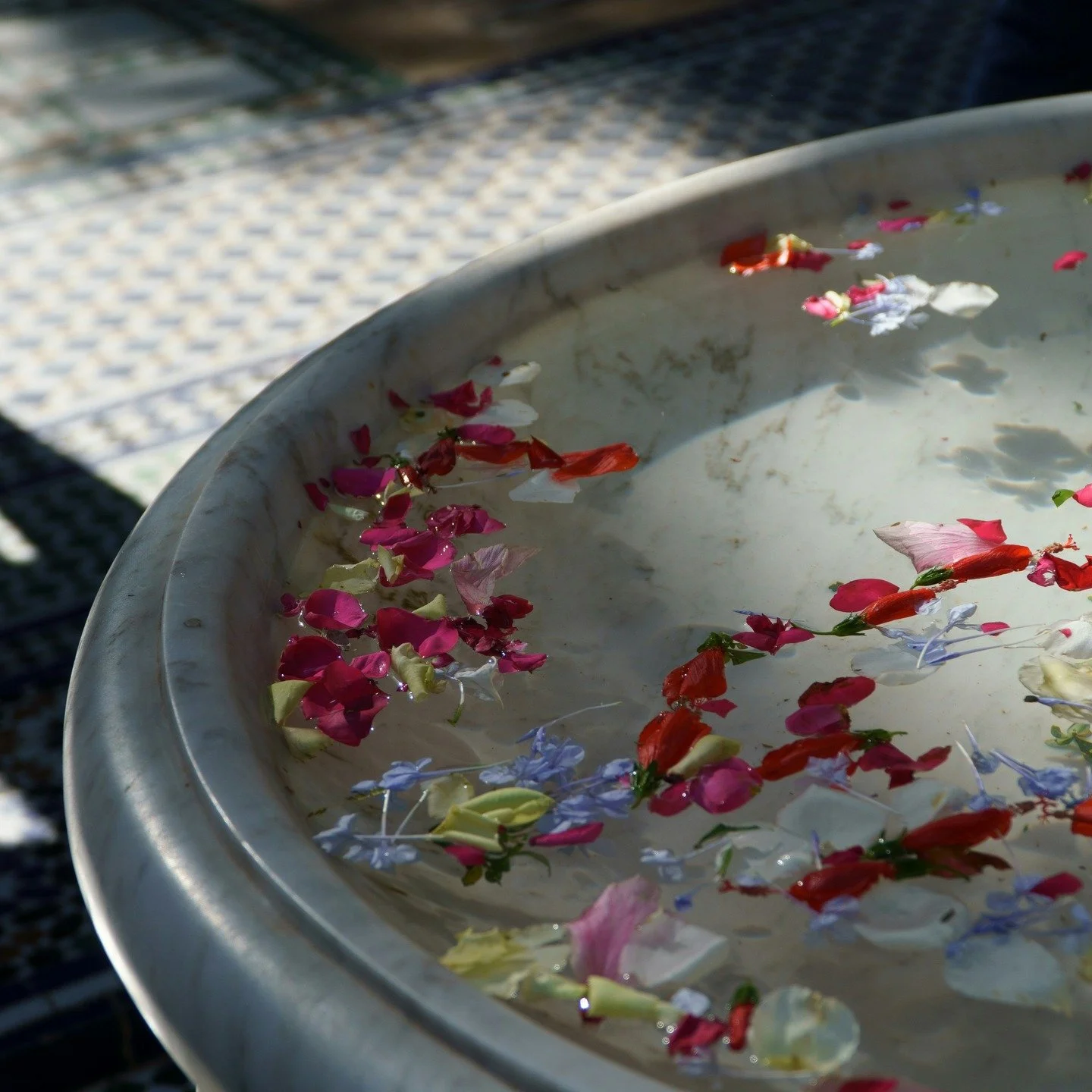 Most of what you&rsquo;re looking for is already here, you just need to go slow enough to see it. 
Start with your senses. Smell something on purpose today and watch how your attention softens into the present moment.
#flwrnapavalley #handmadebotanic