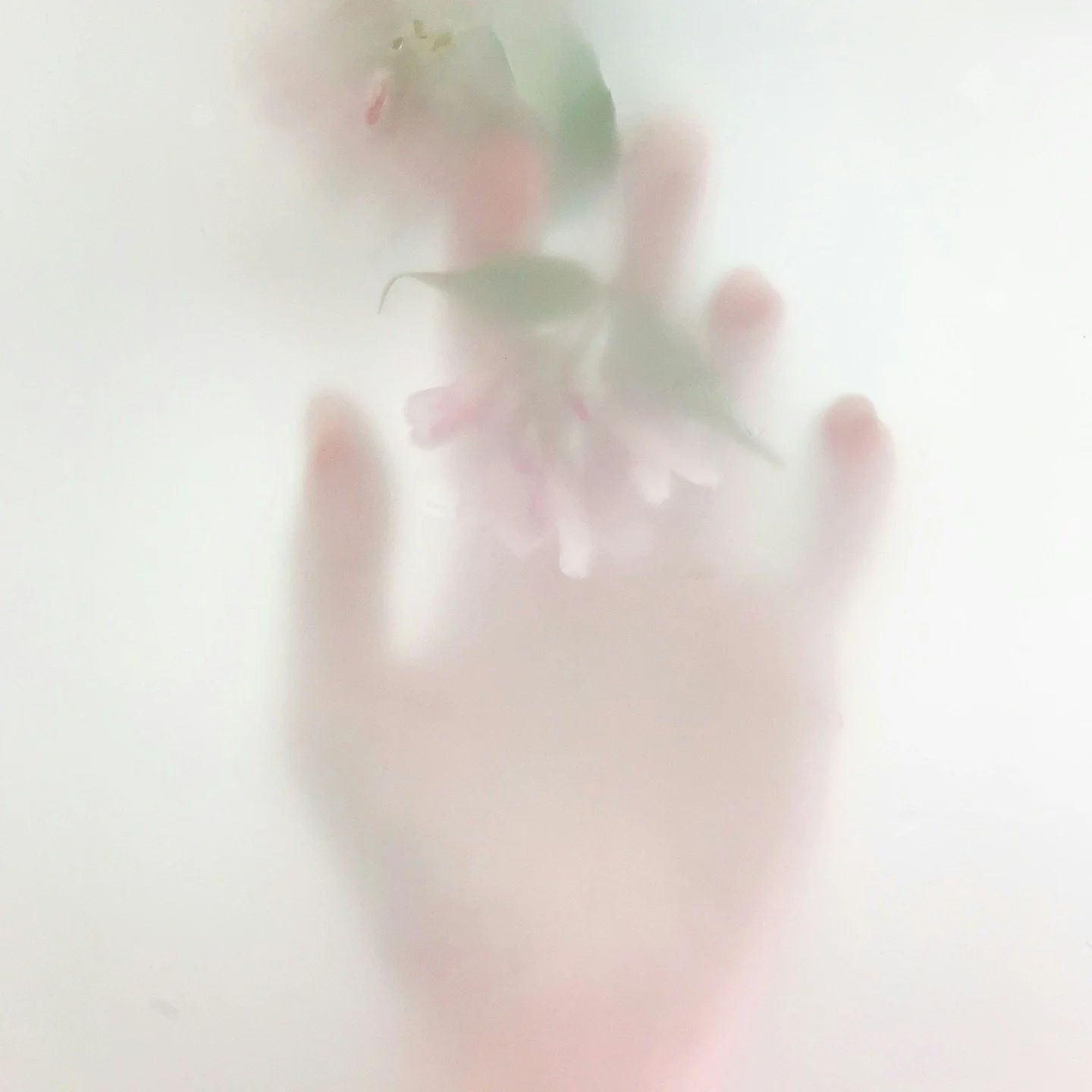 Come back to nature. Come back to scent. Come back to you.

#flwrnapavalley #naturalperfume #naturalperfumer #handmadebotanicalscents #smellsomethingreal