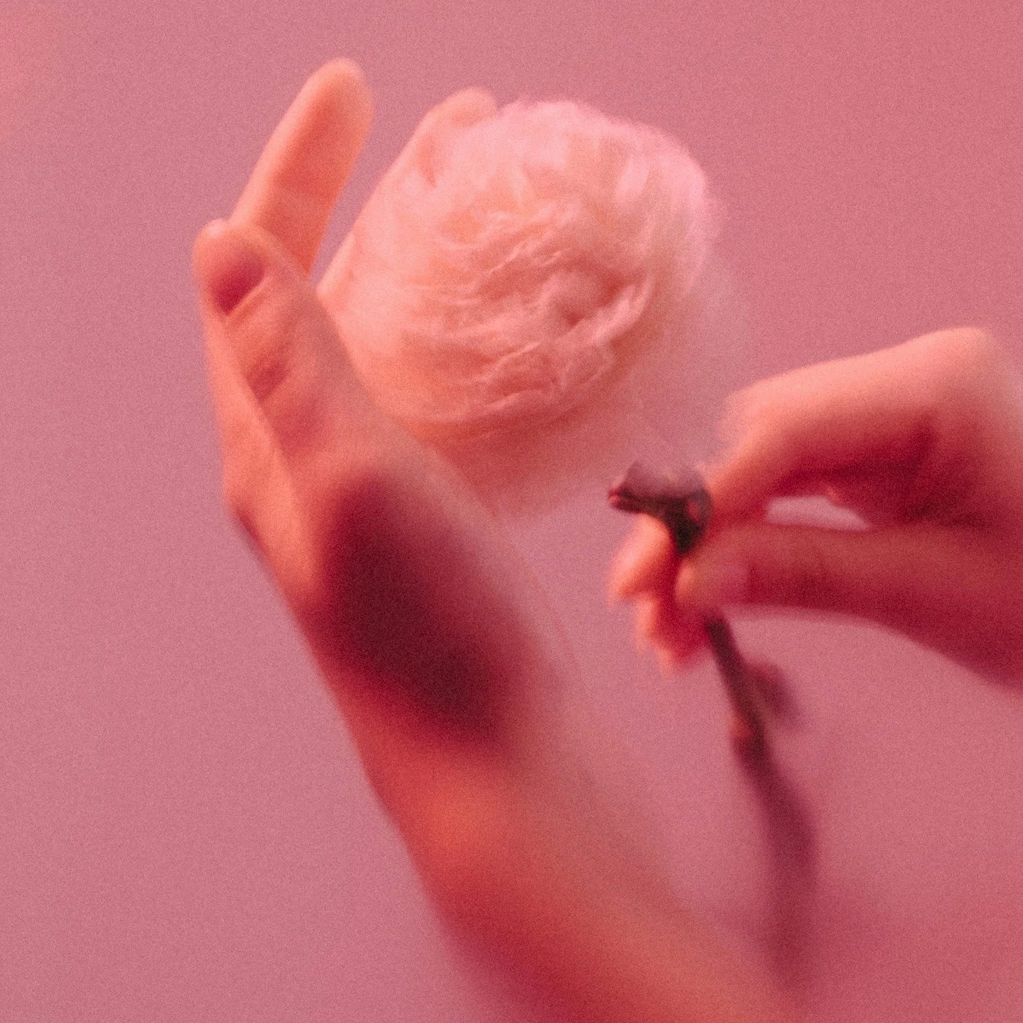 Scent is memory in its most honest form.

#flwrnapavalley #naturalperfume #naturalperfumer #handmadebotanicalscents #smellsomethingreal