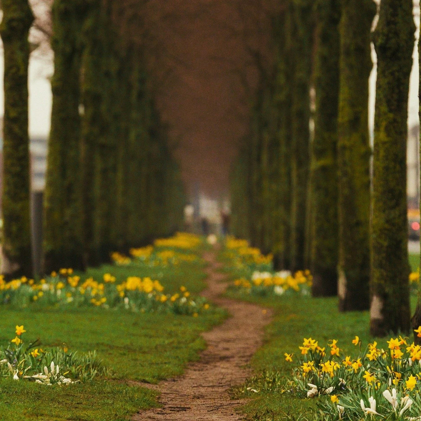 There&rsquo;s a version of home that lives only in scent. The trees. The earth. The air after a long walk. One breath and you&rsquo;re back.

#flwrnapavalley #naturalperfume #naturalperfumer #handmadebotanicalscents #smellsomethingreal