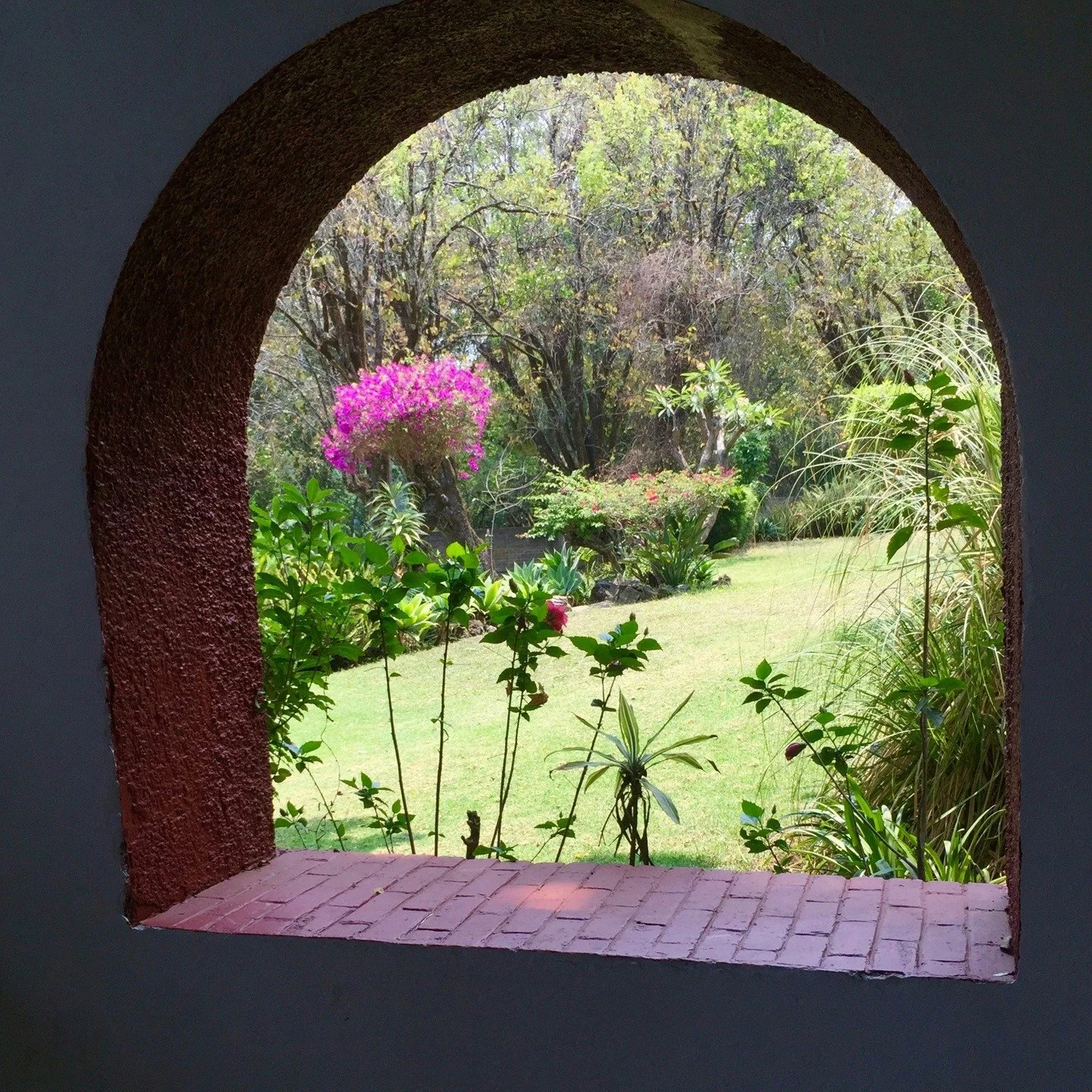 The land we grow up in never really leaves us.

#flwrnapavalley #naturalperfume #naturalperfumer #handmadebotanicalscents #smellsomethingreal