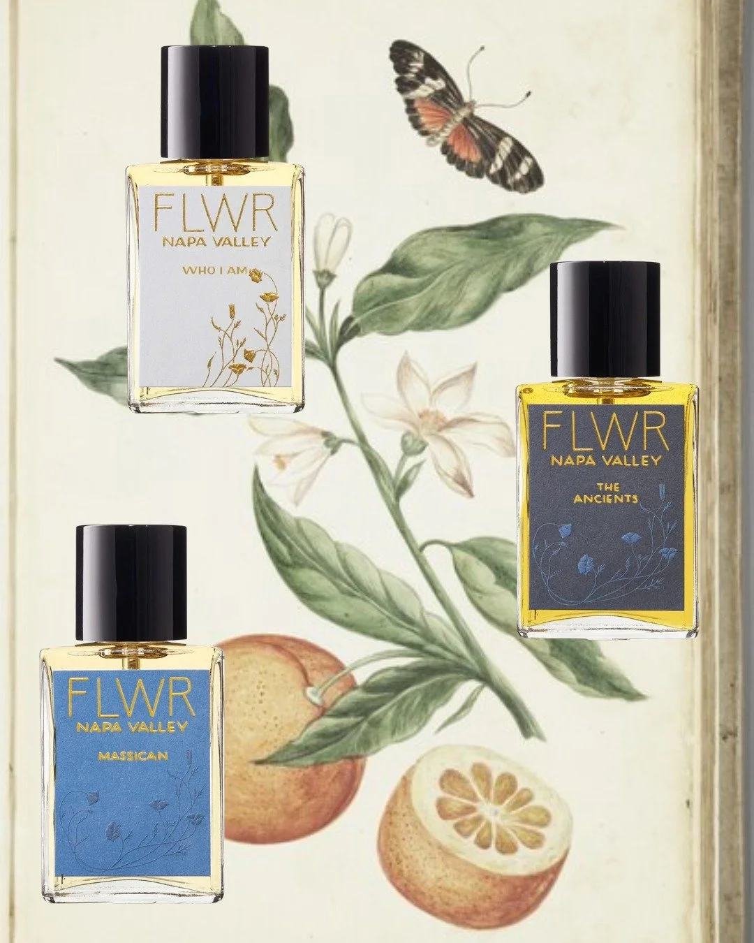 Who I Am, Massican, and The Ancients 

Three expressions of orange: floral, fruit, and an expression of the divine feminine. 

Who I Am ~ A sparkly floral, rich, and heady orange blossom scent. 
 
Massican ~ A perfect cocktail of orange, coriander an