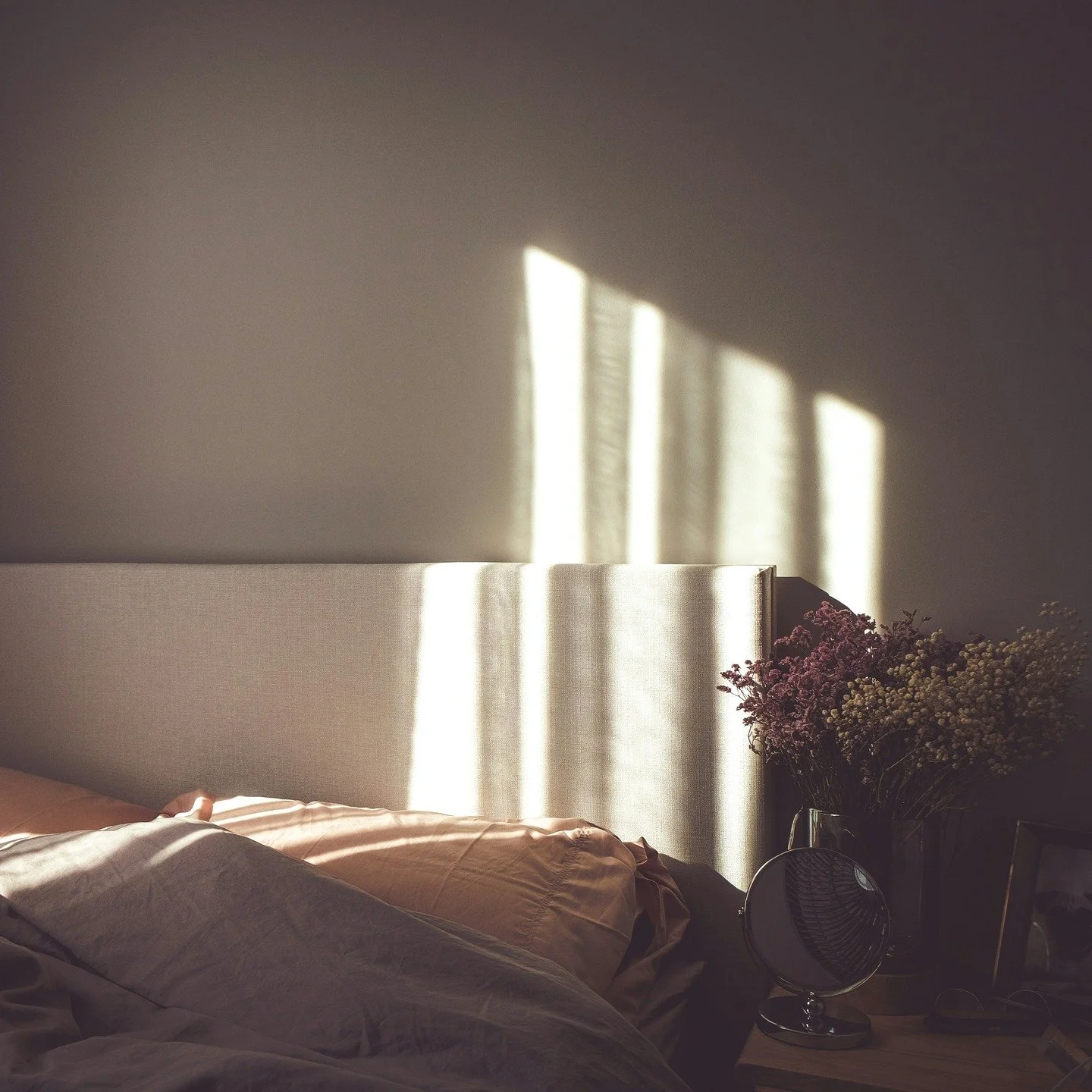 There comes a point at the end of February and the beginning of March, as the rains return here in California, the cold air creates frost in the mornings, and the warm air heats up the afternoons, that I finally understand. The year is about to begin