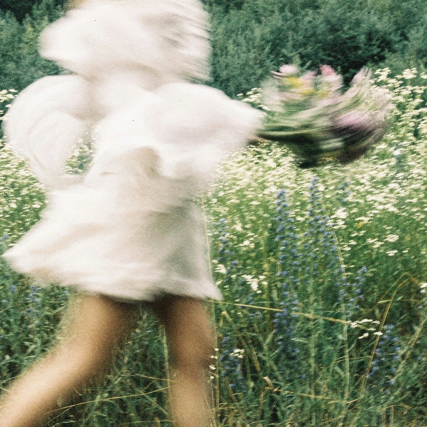 I have a belief that has long been embedded in my view of the world: to begin, we must end. What does leaving mean for you?

#flwrnapavalley