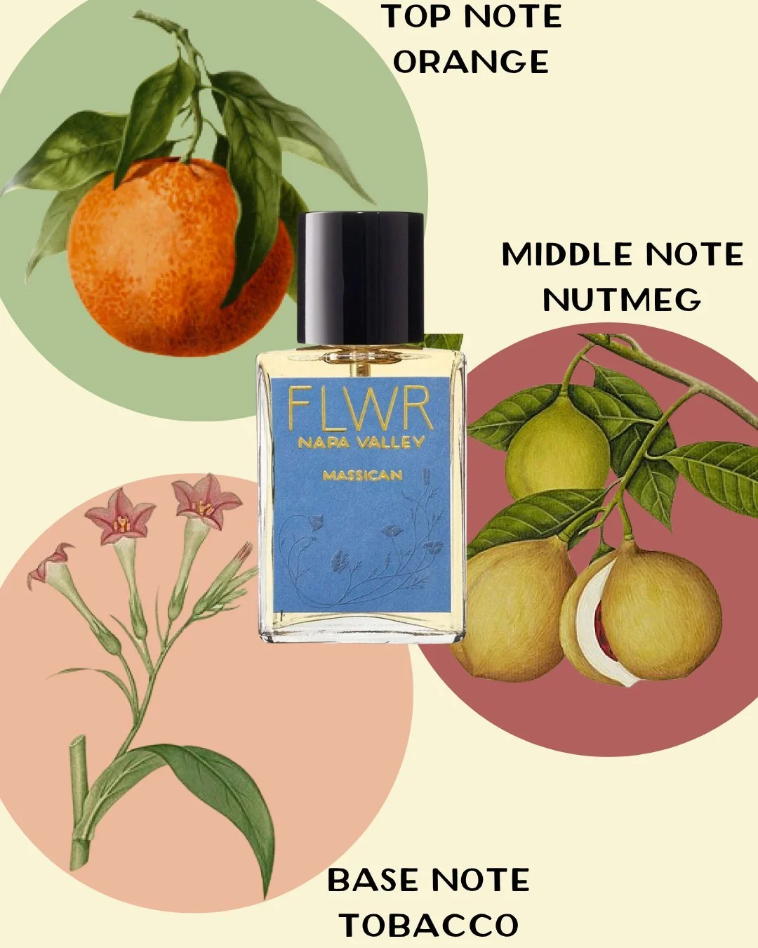 Massican, this perfume is so delightful because it is a conversation between orange, coriander, and nutmeg that lands you in the middle of a delicious cocktail. It brings you this idea not of the end of the night, but the beginning of the night.
#flw