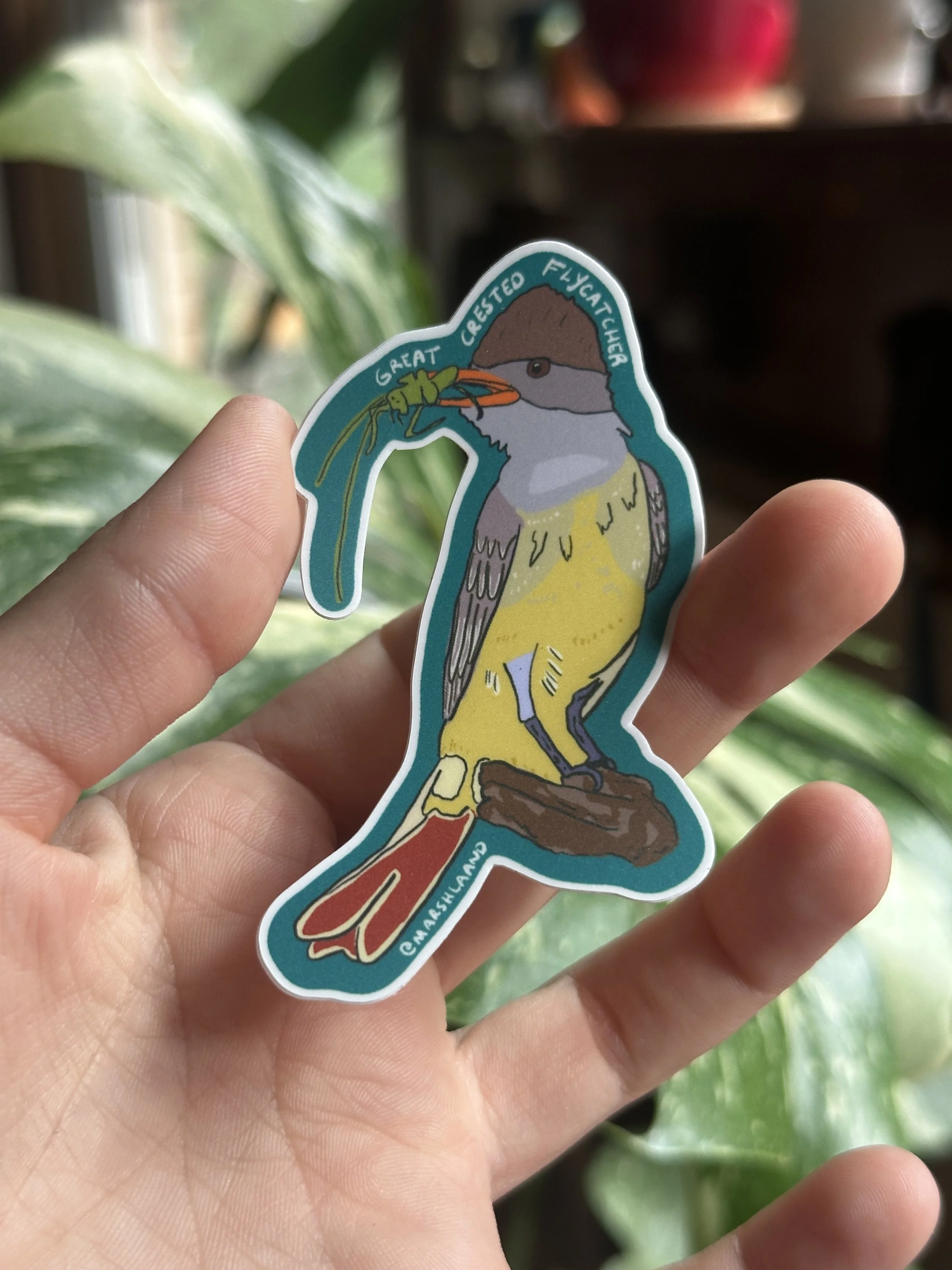 Great Crested Flycatcher Sticker