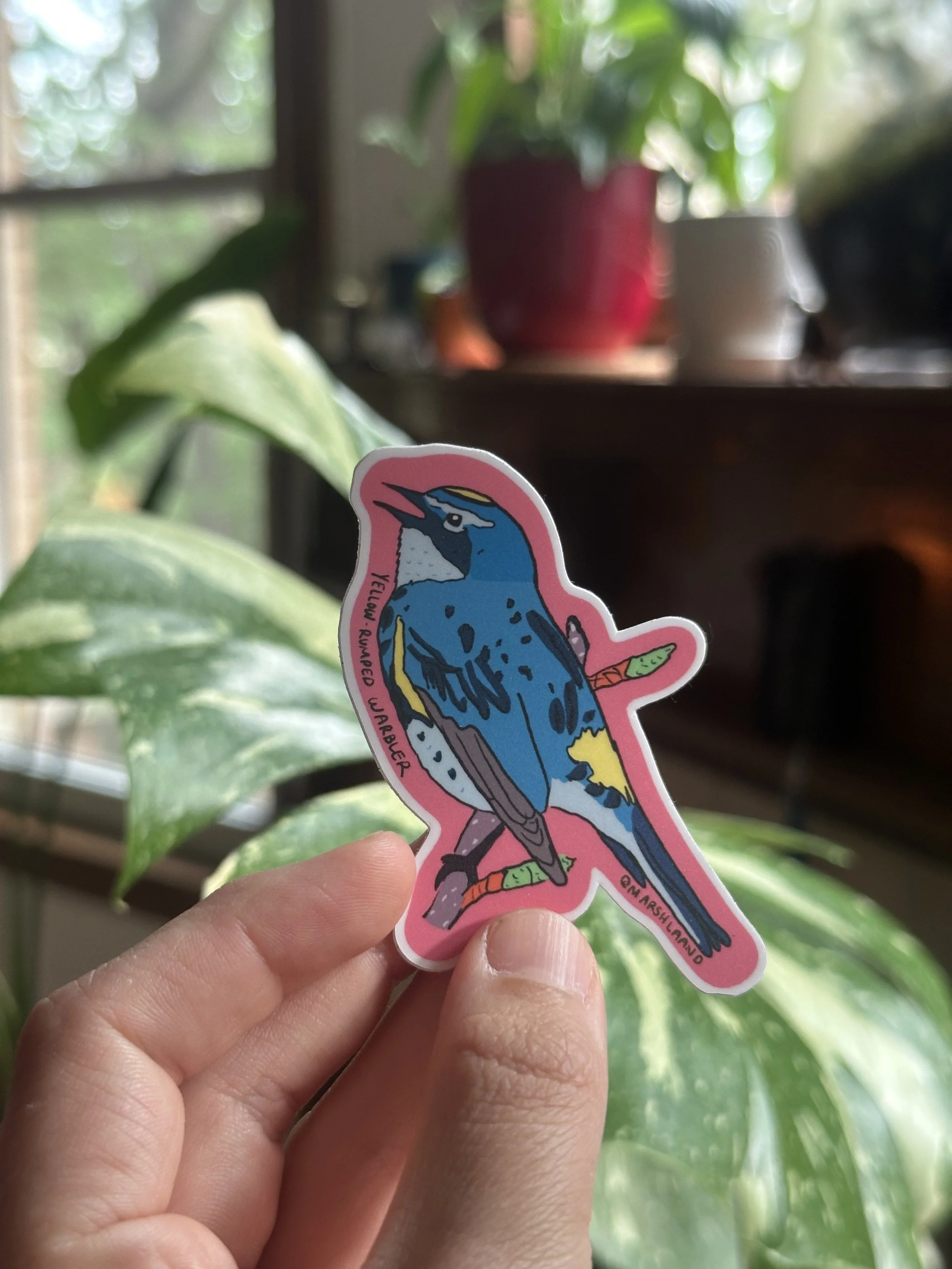 Yellow-rumped Warbler Sticker
