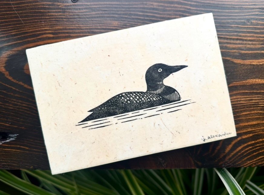 This one is for my dear lover//fighters in Minnesota. 

Common loons are known for their haunting soliloquy of cries, wails, yodels. Their eerie birdsong can often be heard over the lakes of Minnesota &amp; serves a wide variety of purposes: defendin