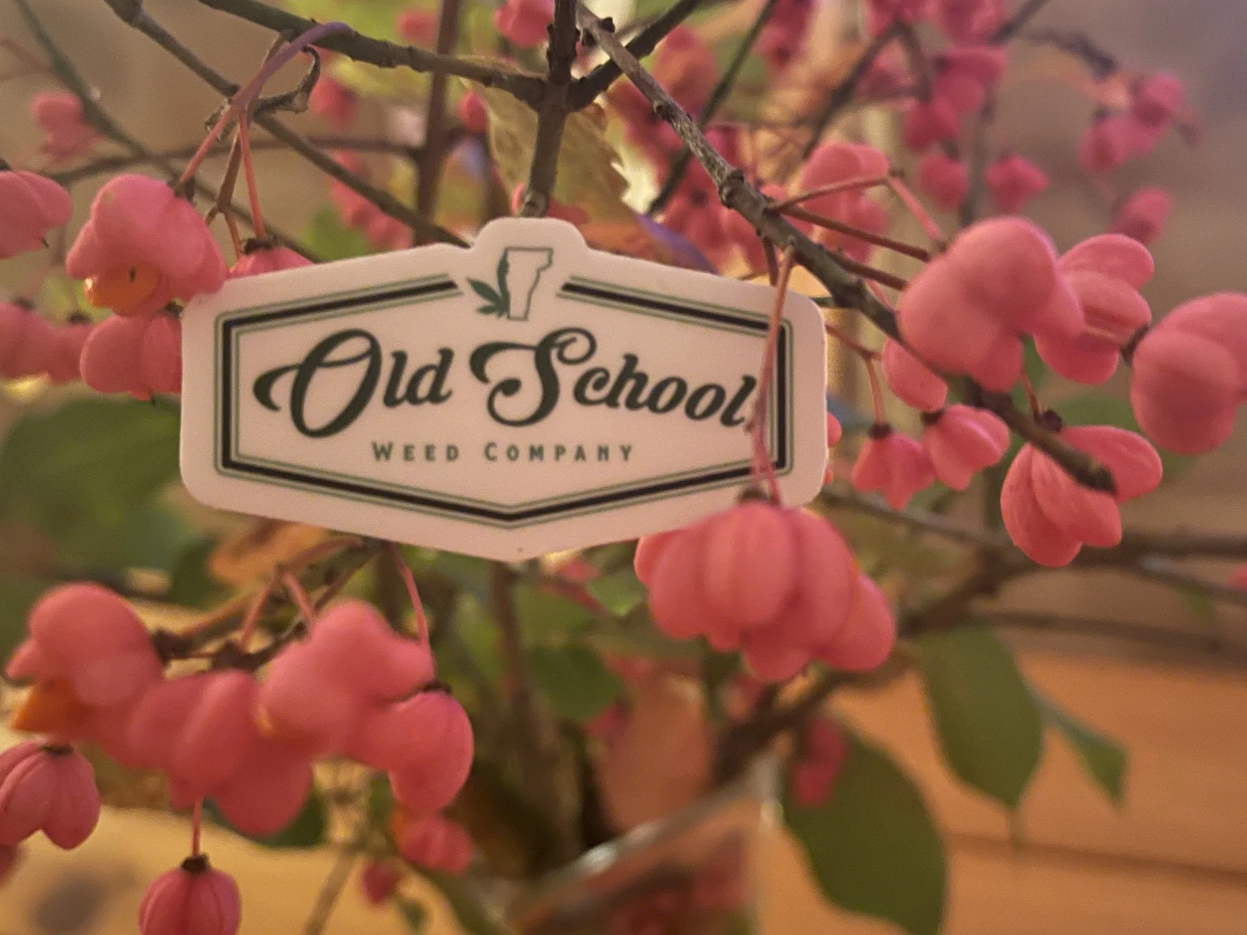 Old School Label .jpeg