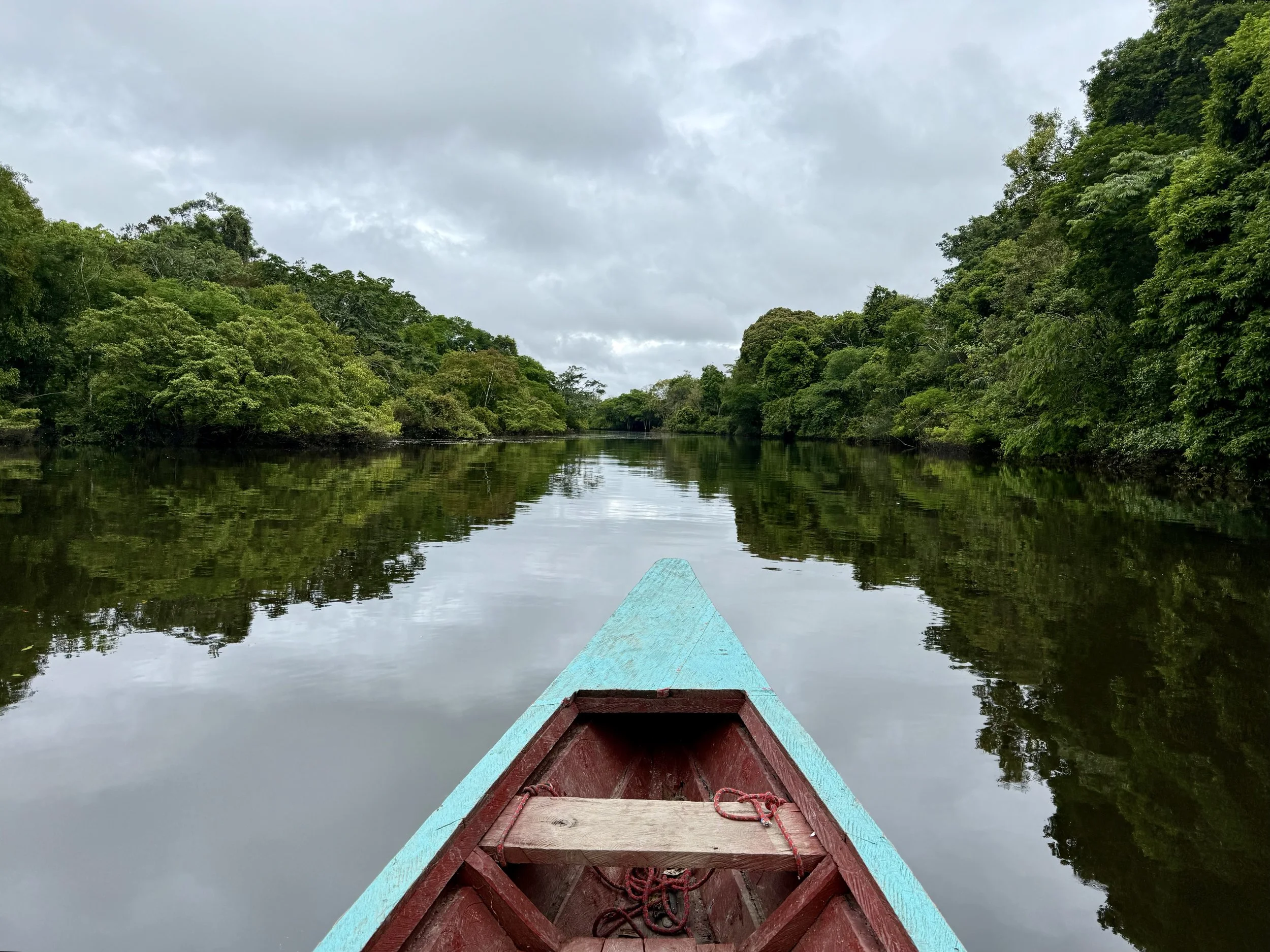 Vista desde una canoa en un río rodeado de vegetación tropical con cielo nublado.
