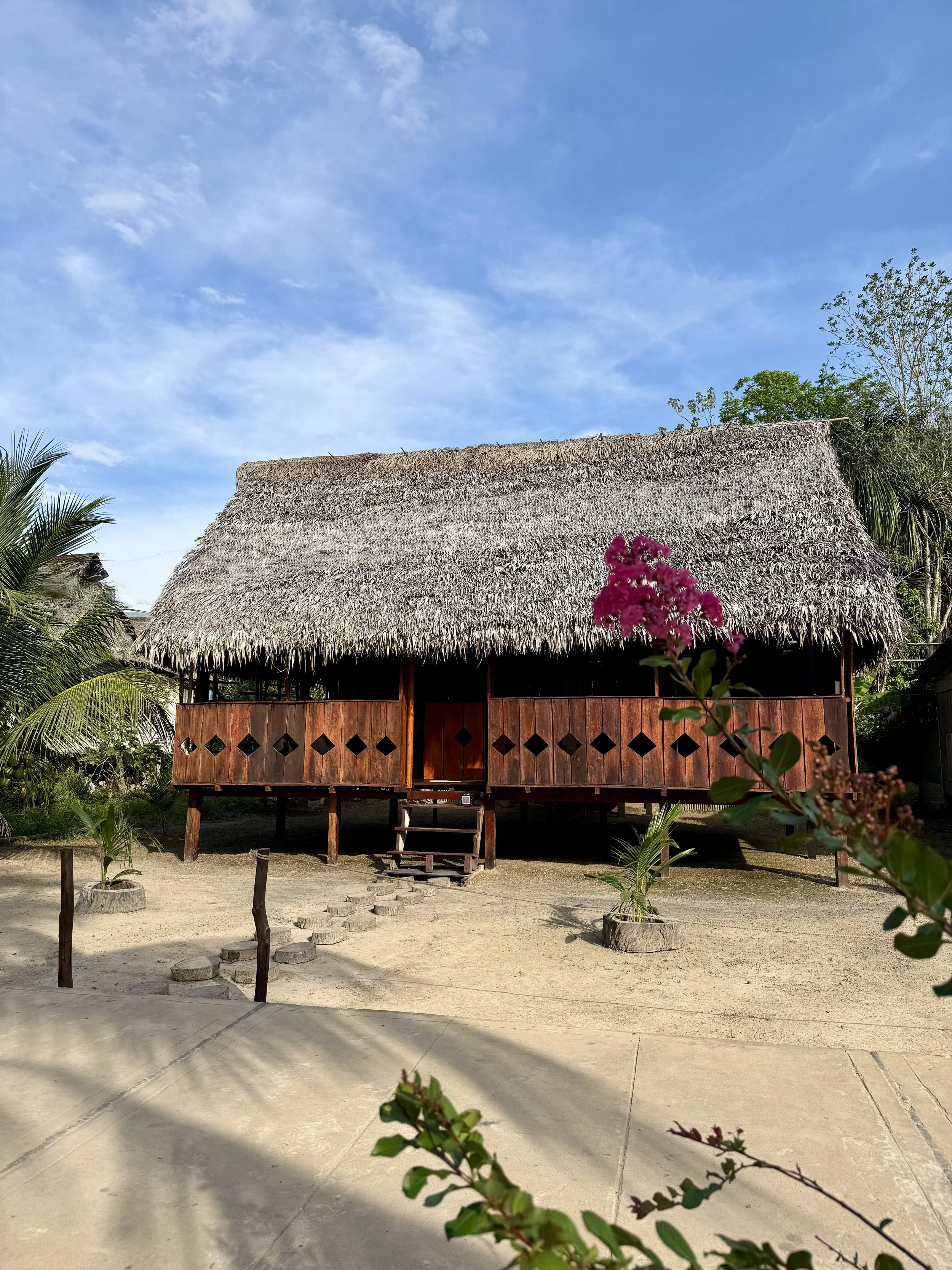 Casa grande de madera con techo de palma en un entorno tropical, con plantas y flores alrededor, bajo un cielo despejado.
