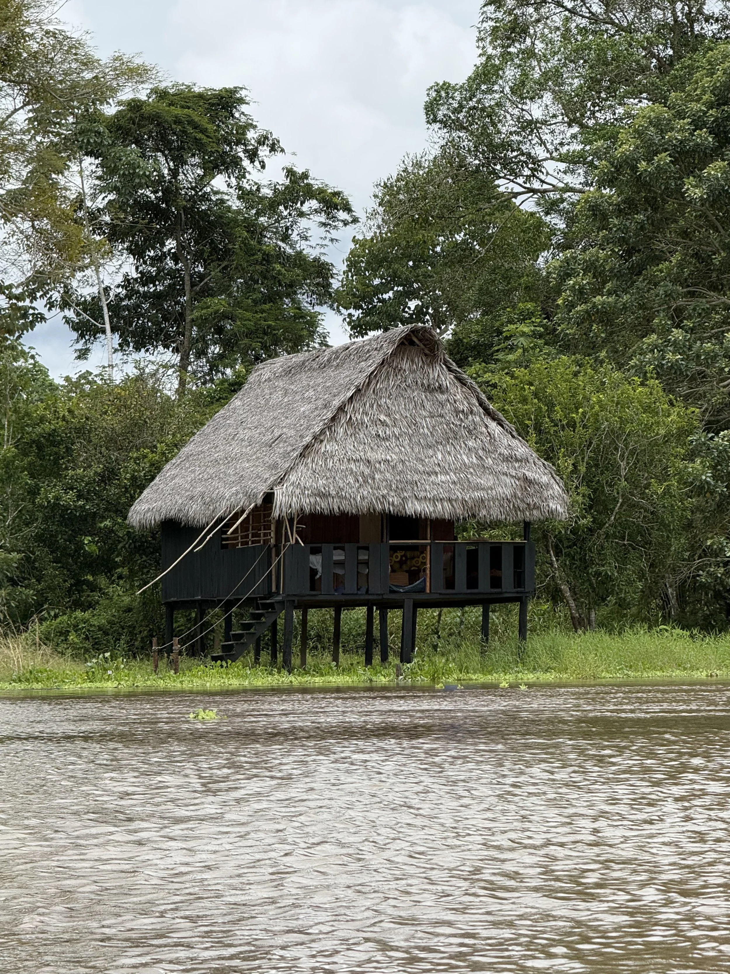 Una choza de madera y techado de palma sobre pilotes en una zona pantanosa rodeada de árboles, con agua en primer plano.