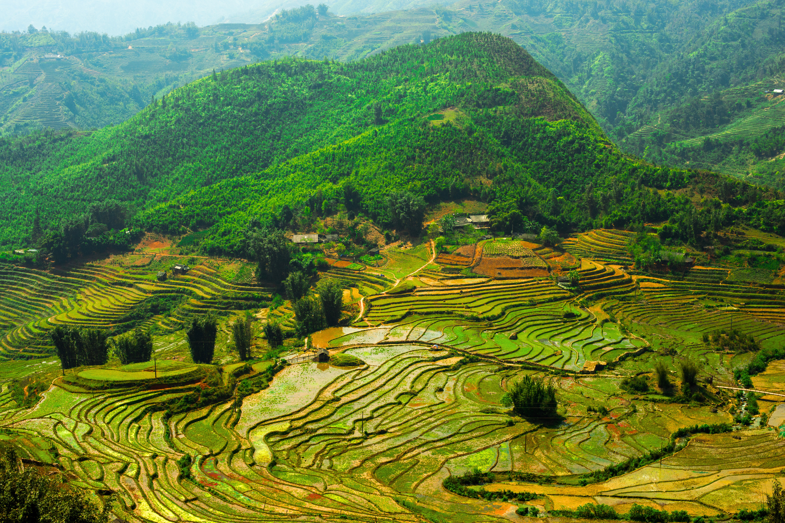 Diseño sin título copia 4.png