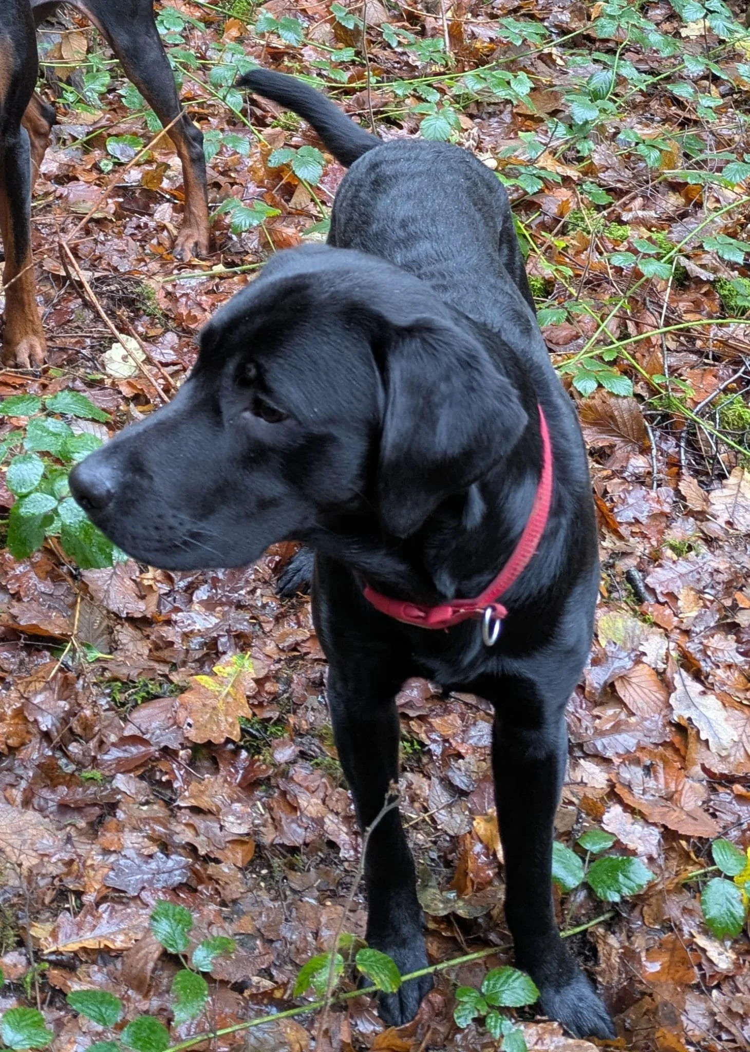 PHOTO-2026-02-02-19-51-28 2.jpg